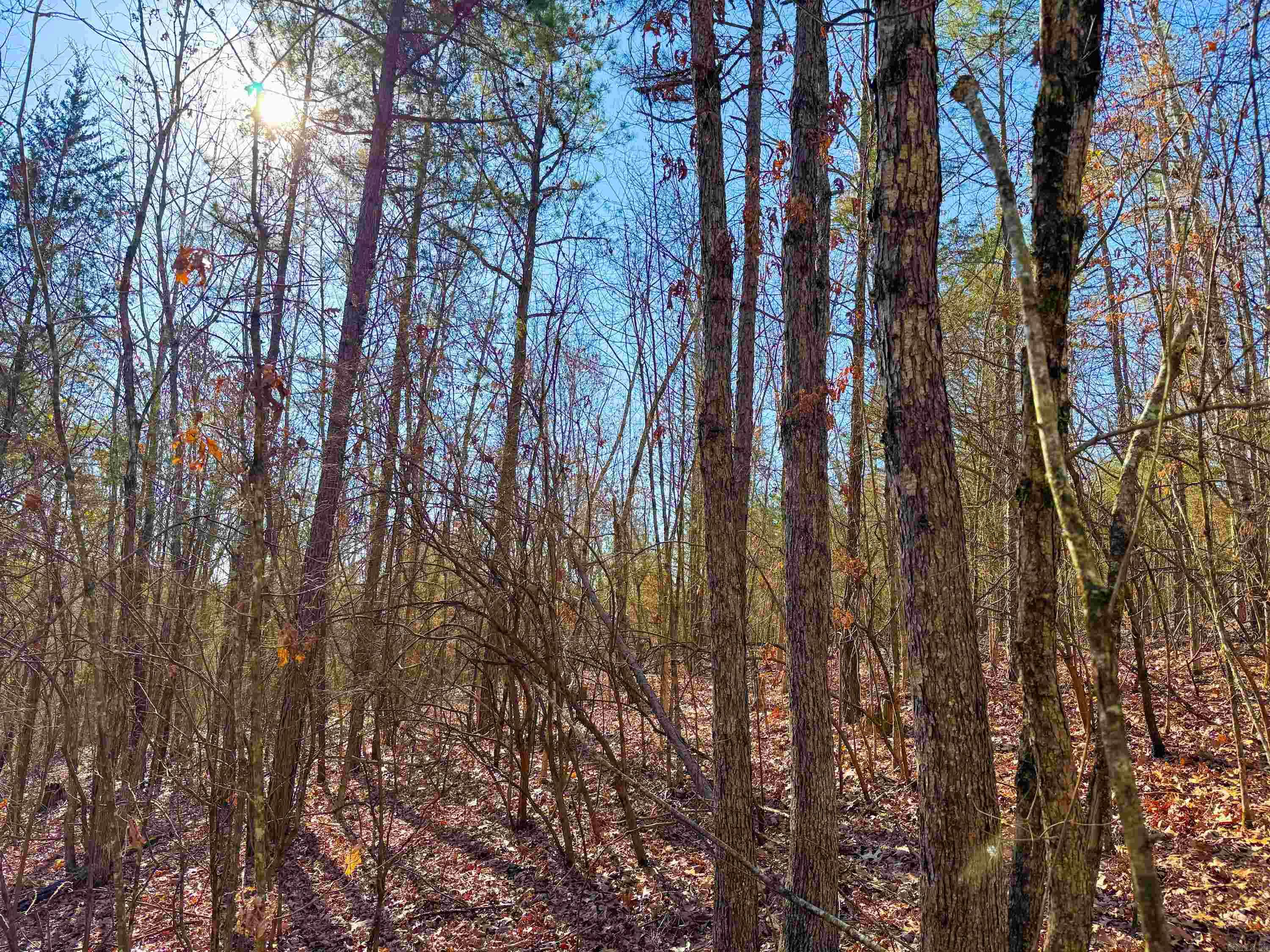 Metes & Bounds - Land