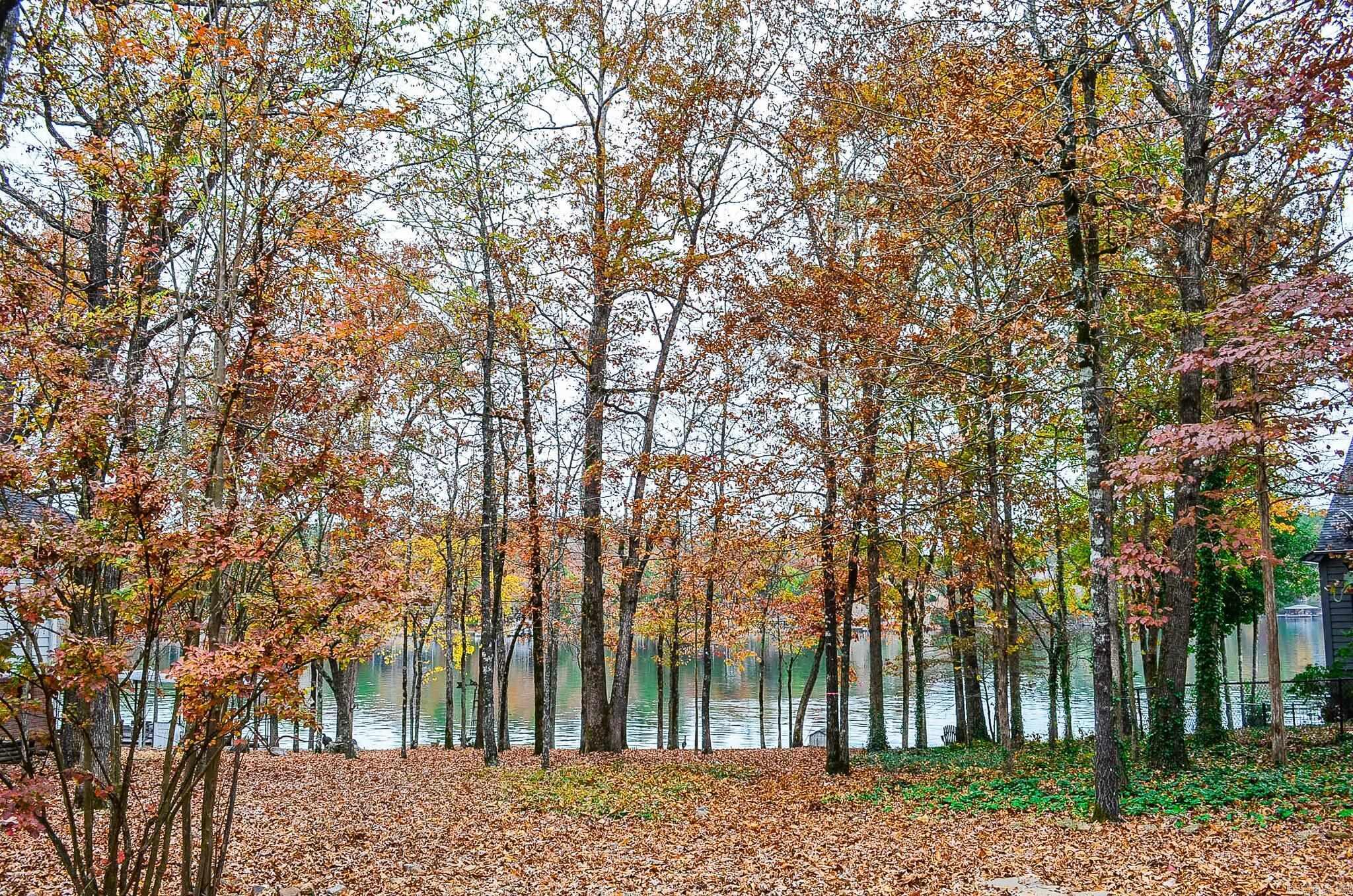 Sorpresa - Residential