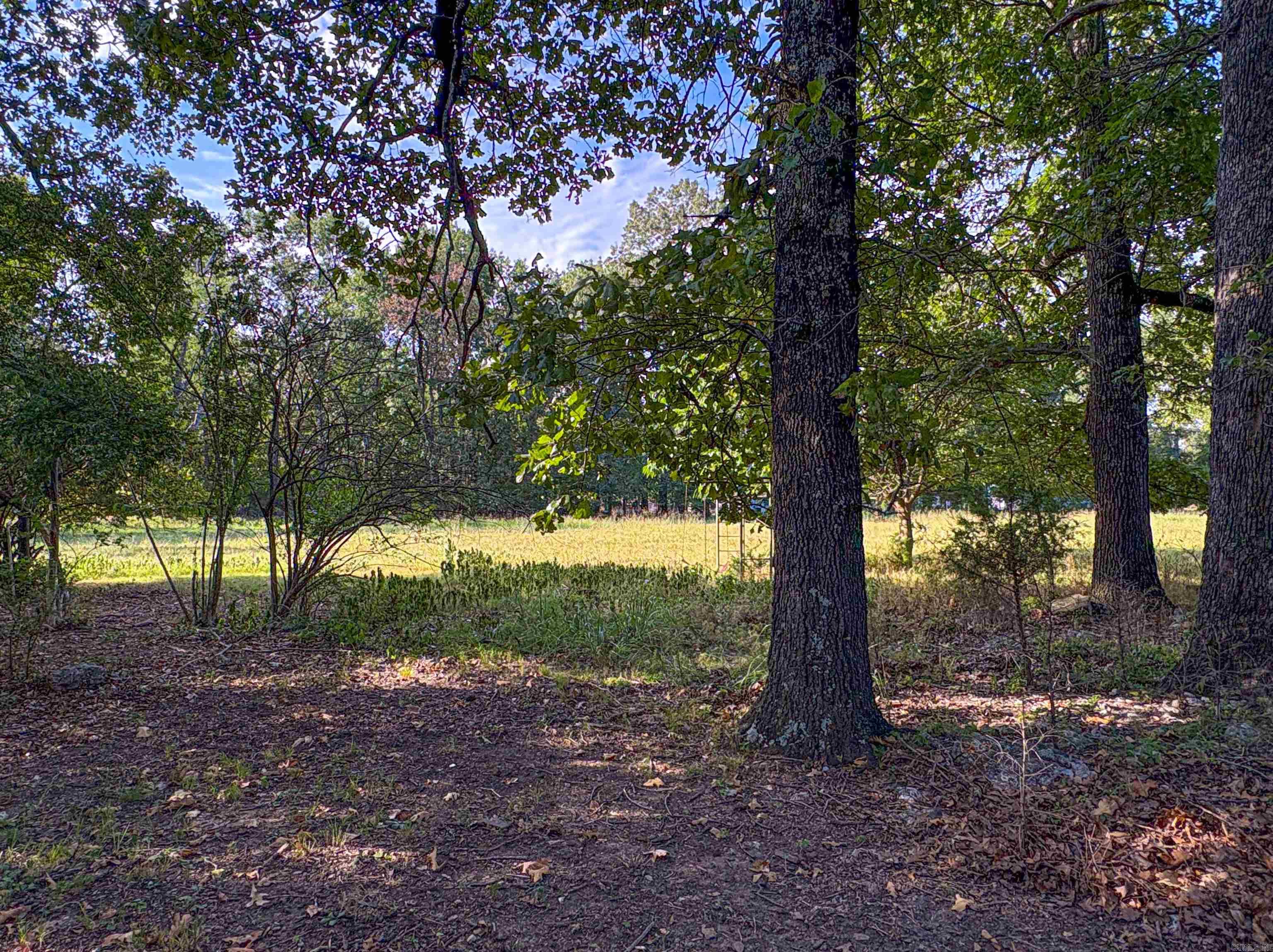 RAVENSWOOD PARK - Residential