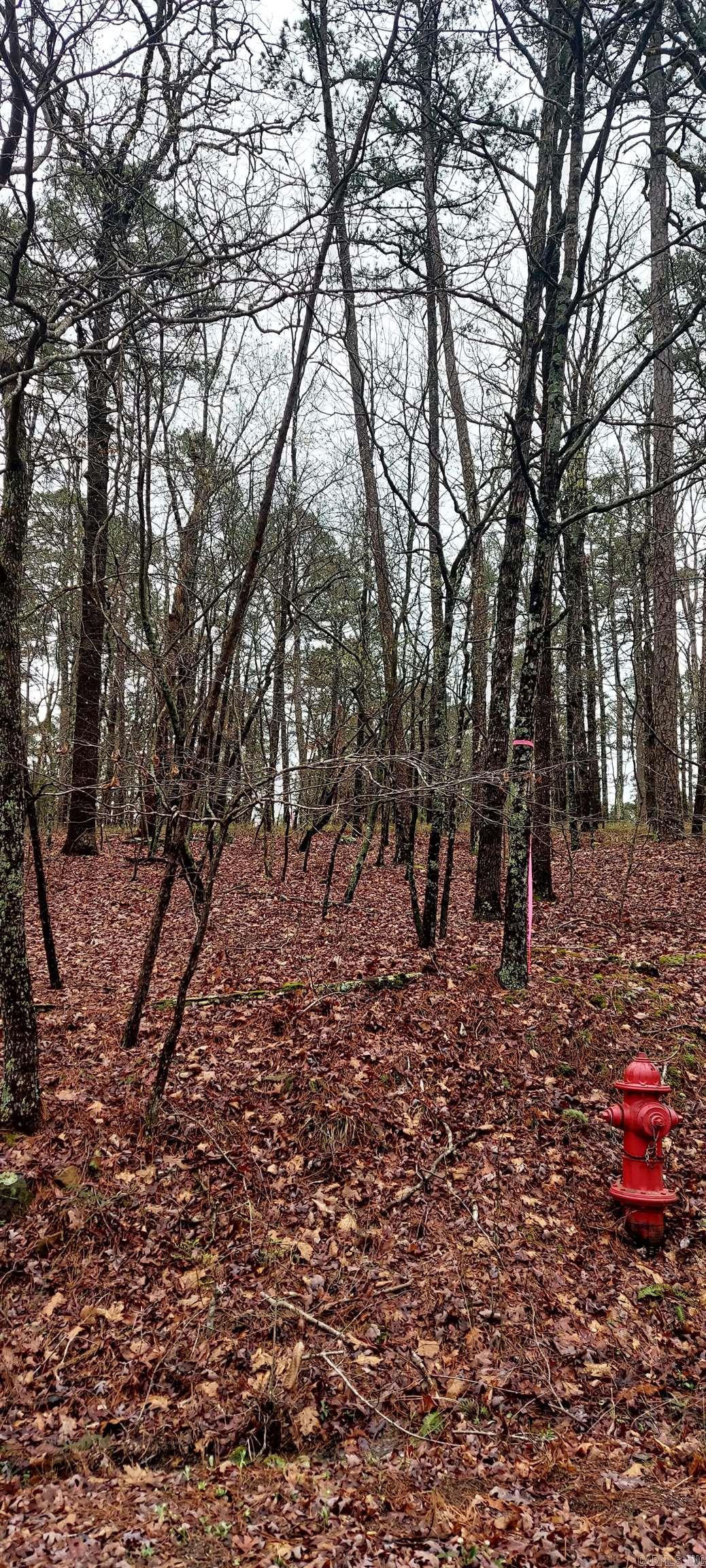 Buildable secluded lot, just over quarter of an acre. Conveniently located near the West gate! Come and see all the wonderful amenities Hot Springs Village has to offer with 11 recreational lakes, 9 beautiful golf courses, new pickleball courts, all in 26,000 beautiful gated acres. Historic Hot Springs is a short distance away!