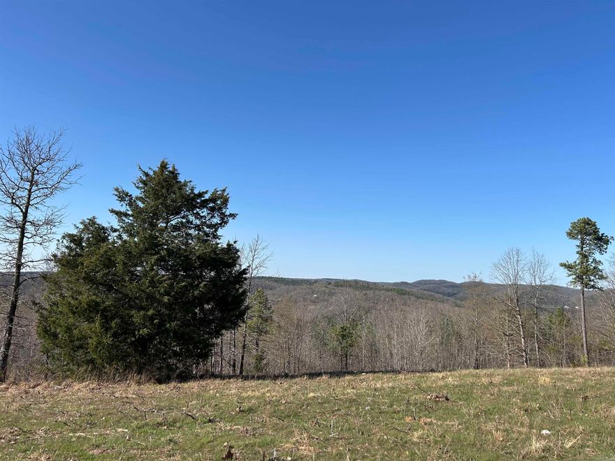 Lovely mountain views await you on this ridge top property. Convenient to the Stone County Courthouse, the White River, and the Ozark National Forest, this peaceful acreage is ready for you to build your dream home. Electric, water, and internet are available at the street. 1000 sq ft minimum, no manufactured homes. Additional tracts are available for purchase should you wish to expand your estate.