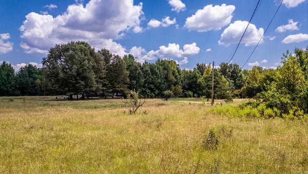 29 AUDUBON DR, CONWAY, AR 72032 - Image a799ac8a87de85c4ebc00d7f10be4c3b/1245550836