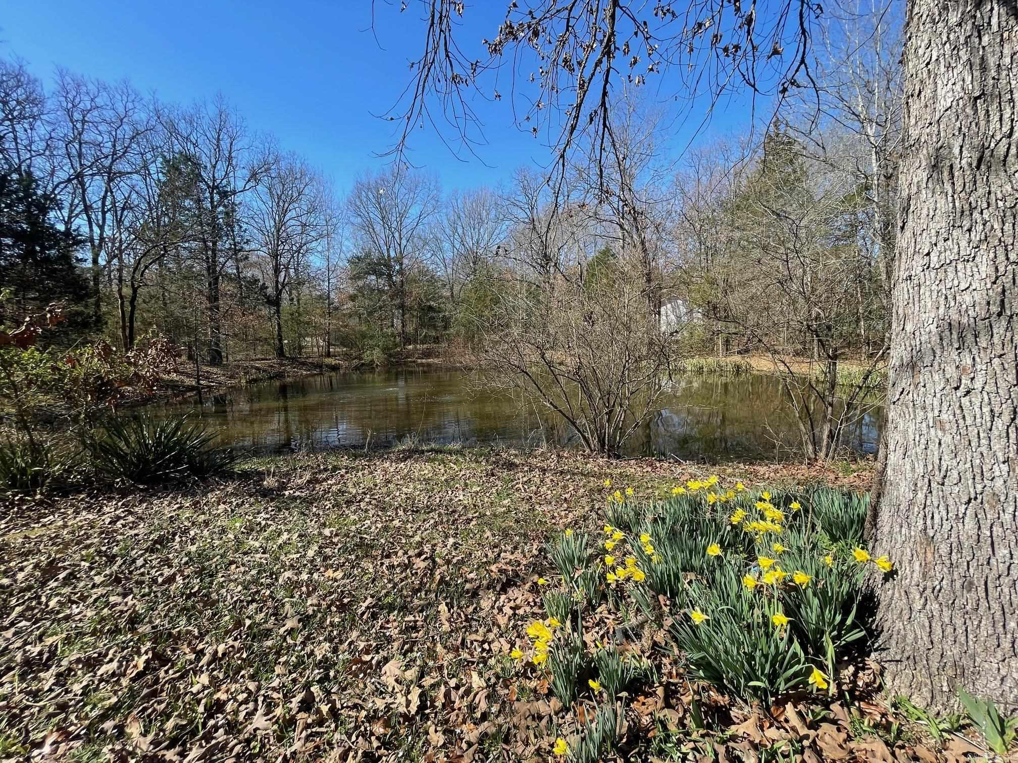 WESTERN OAKS - Residential