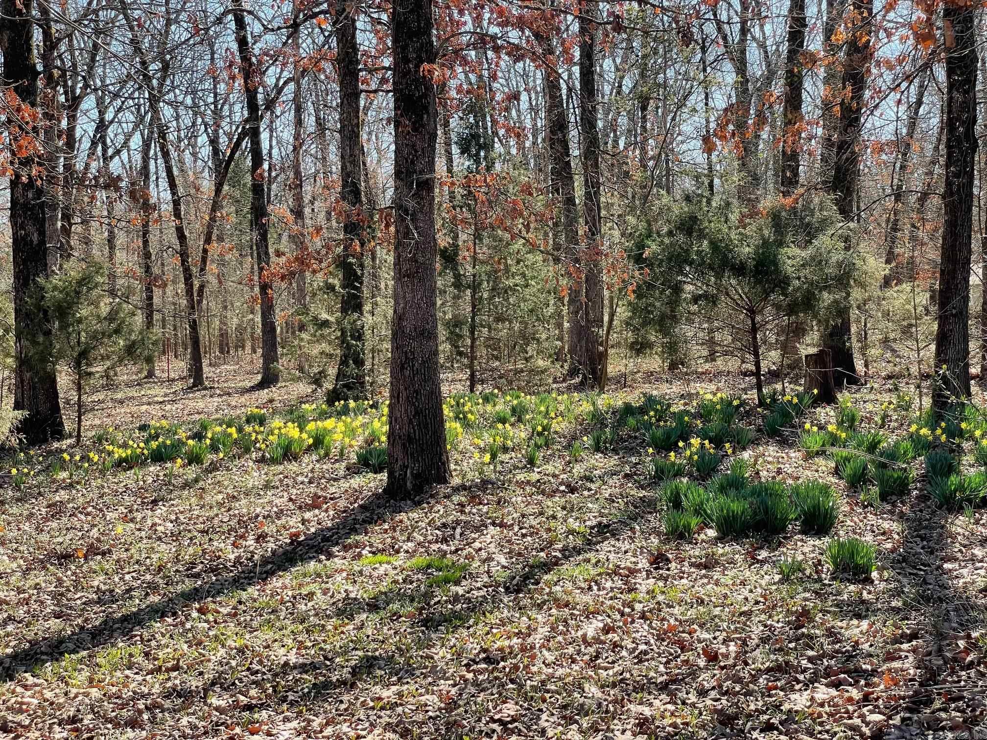 WESTERN OAKS - Residential