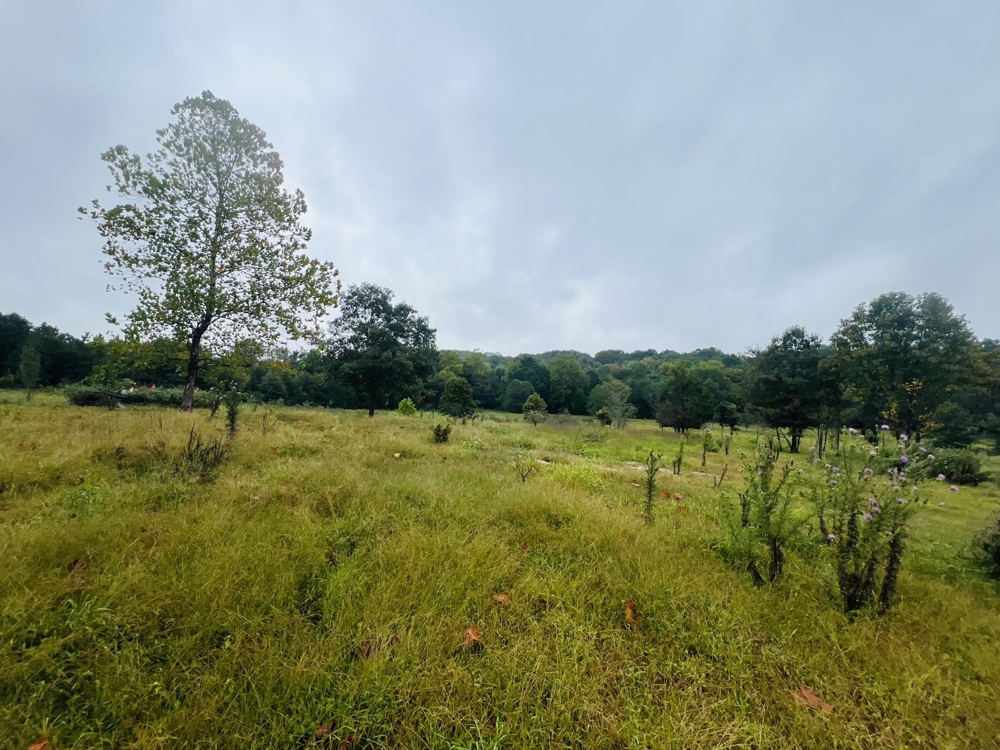 Metes & Bounds - Farm