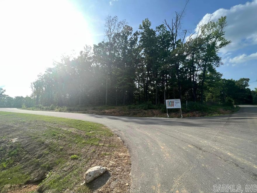 Welcome to White Oak Manor. Saline County’s newest large acre development with a country feel only 7 minutes from downtown Benton. White Oak Manor is located off of Fait Road on a very secluded street with one-way in access. Benton Schools, water, gas, high-speed internet give this neighborhood the amenities you desire with plenty of room to spread out on.