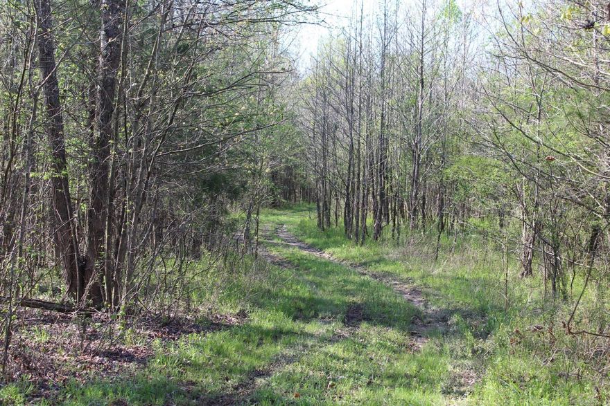 Approx. 15 acres with timber with approx. 600 ft. of road frontage.