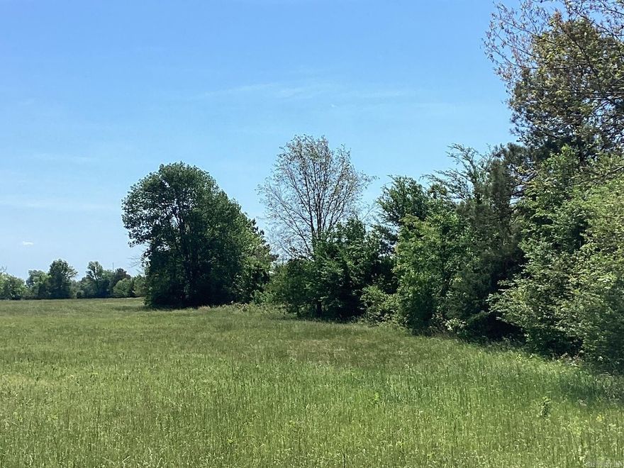 Grass, grass, and more grass! 20 acres of hay meadow! Fenced on two sides. County road on two sides and the interstate within walking distance. Build a house or cut hay for sale. 15 minute drive to Wal Mart!