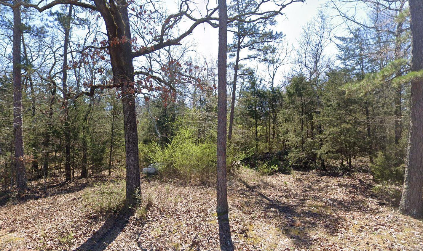 Nice Level Lot!