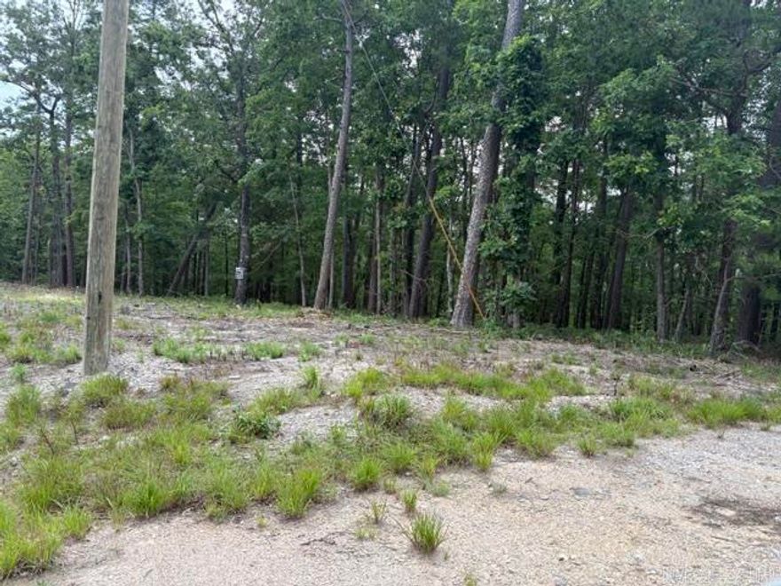 Beautiful, wooded corner lot. Flat with a perfect building site. Corner lot would be perfect for a half circle drive utilizing both streets. Sets up allowing for a winter view of Lake Lago. Centrally located not far from POA office or the Ponce shopping center.
