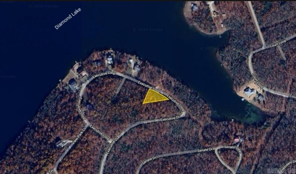 Build your new home on this .53 (+/-) acre lot that is on Diamond Lake. It is just minutes away from Crown and Pioneer Lakes along with being close to local amenities. Enjoy the lake life with year round views. Property conveys with a Limited Warranty Deed. Owner financing available. Electric is at the road. Call or text today for more information.