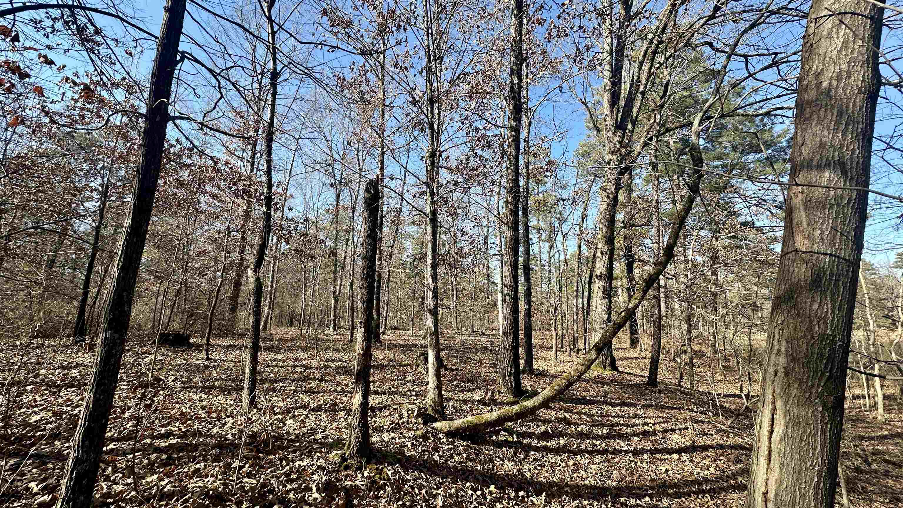 Metes & Bounds - Land