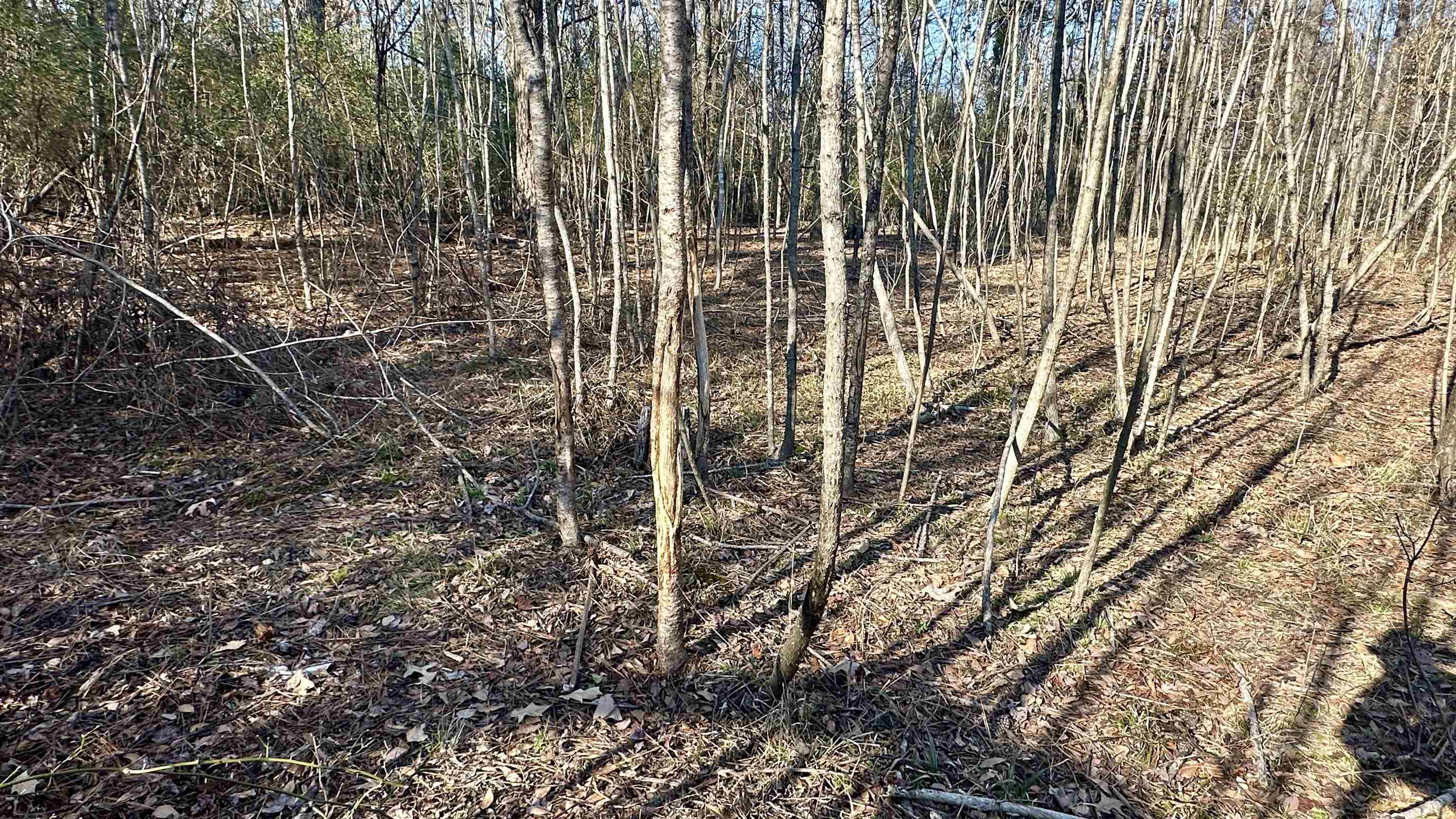 Metes & Bounds - Land