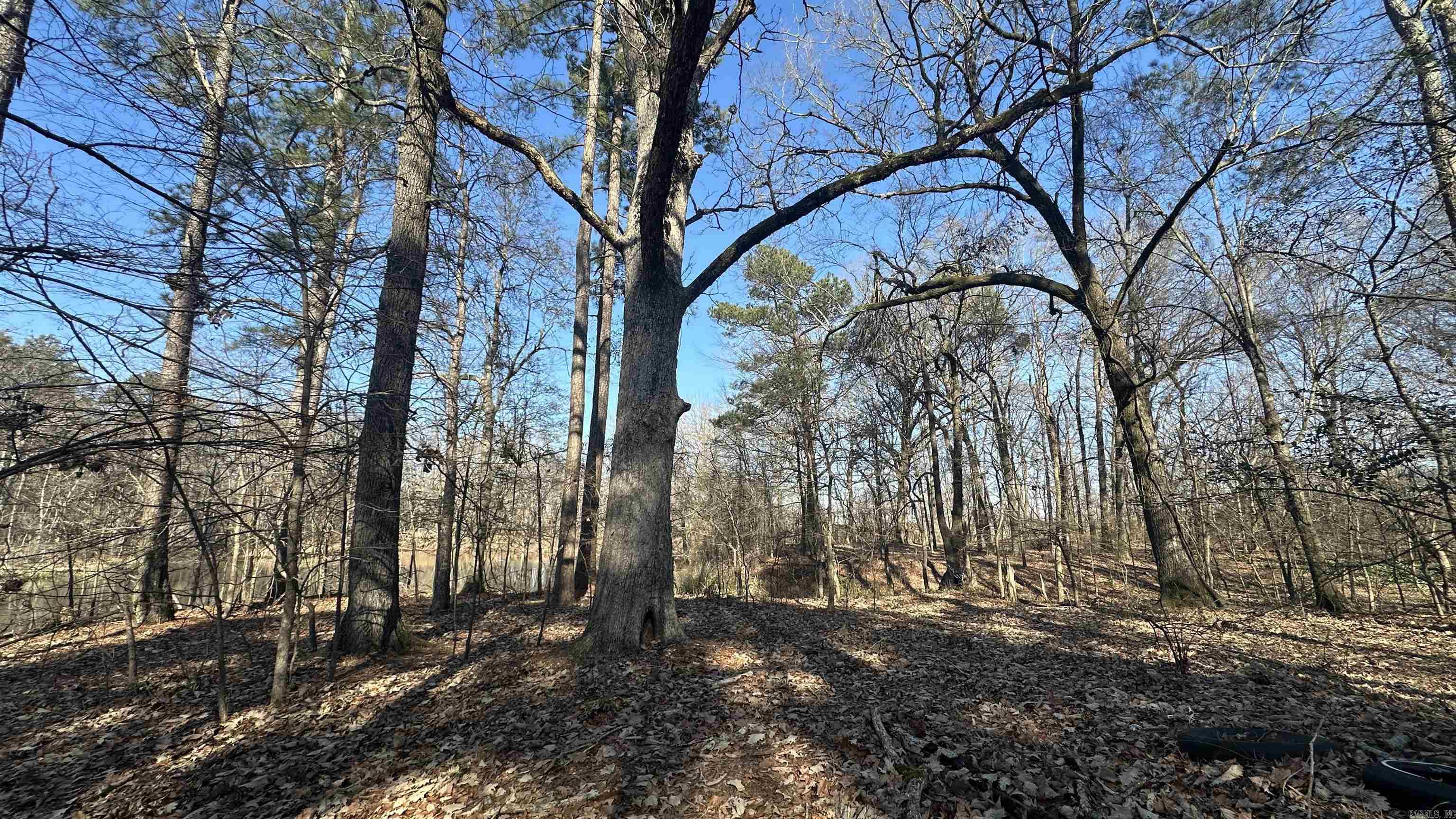 Metes & Bounds - Land