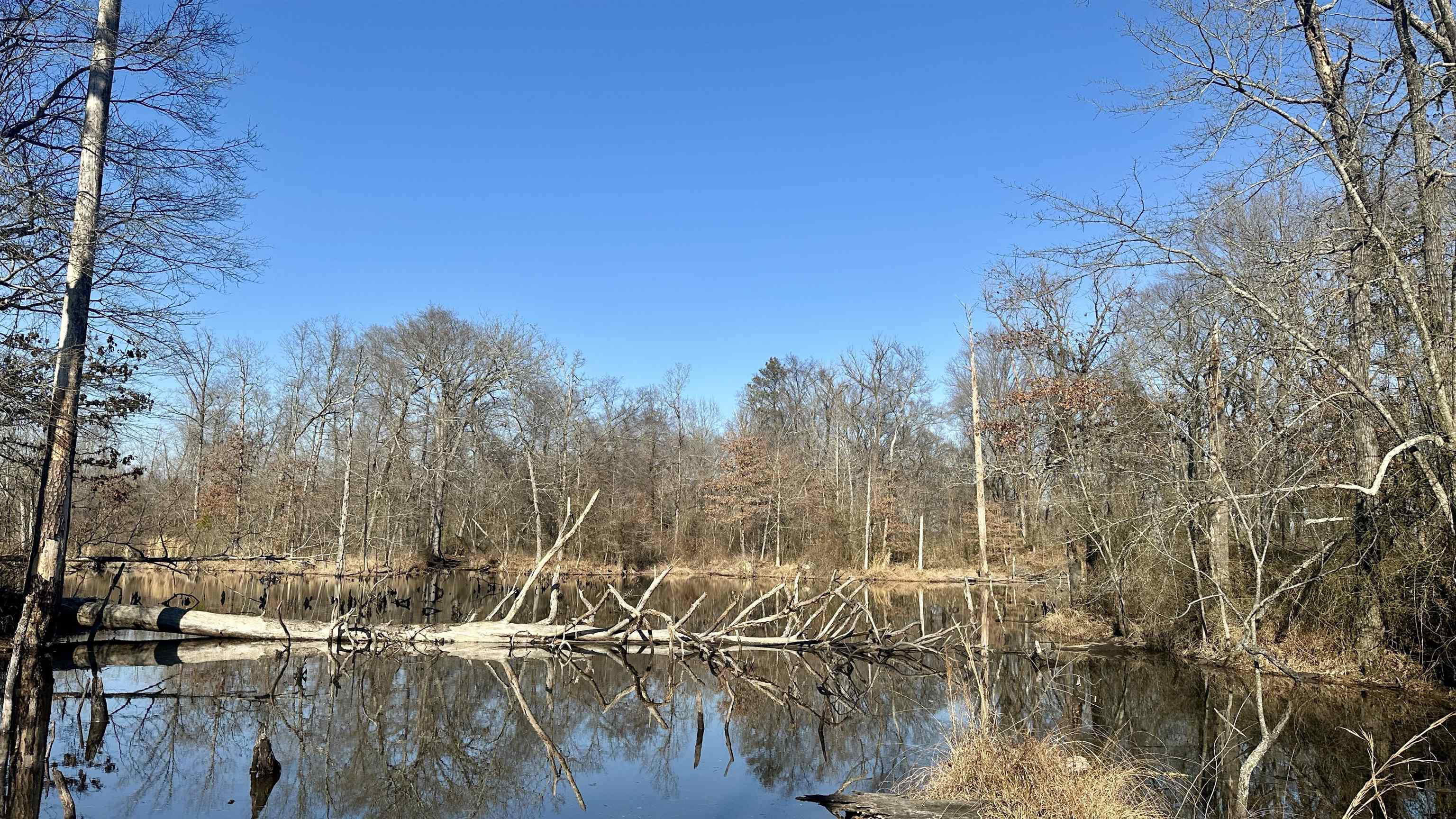 Metes & Bounds - Land