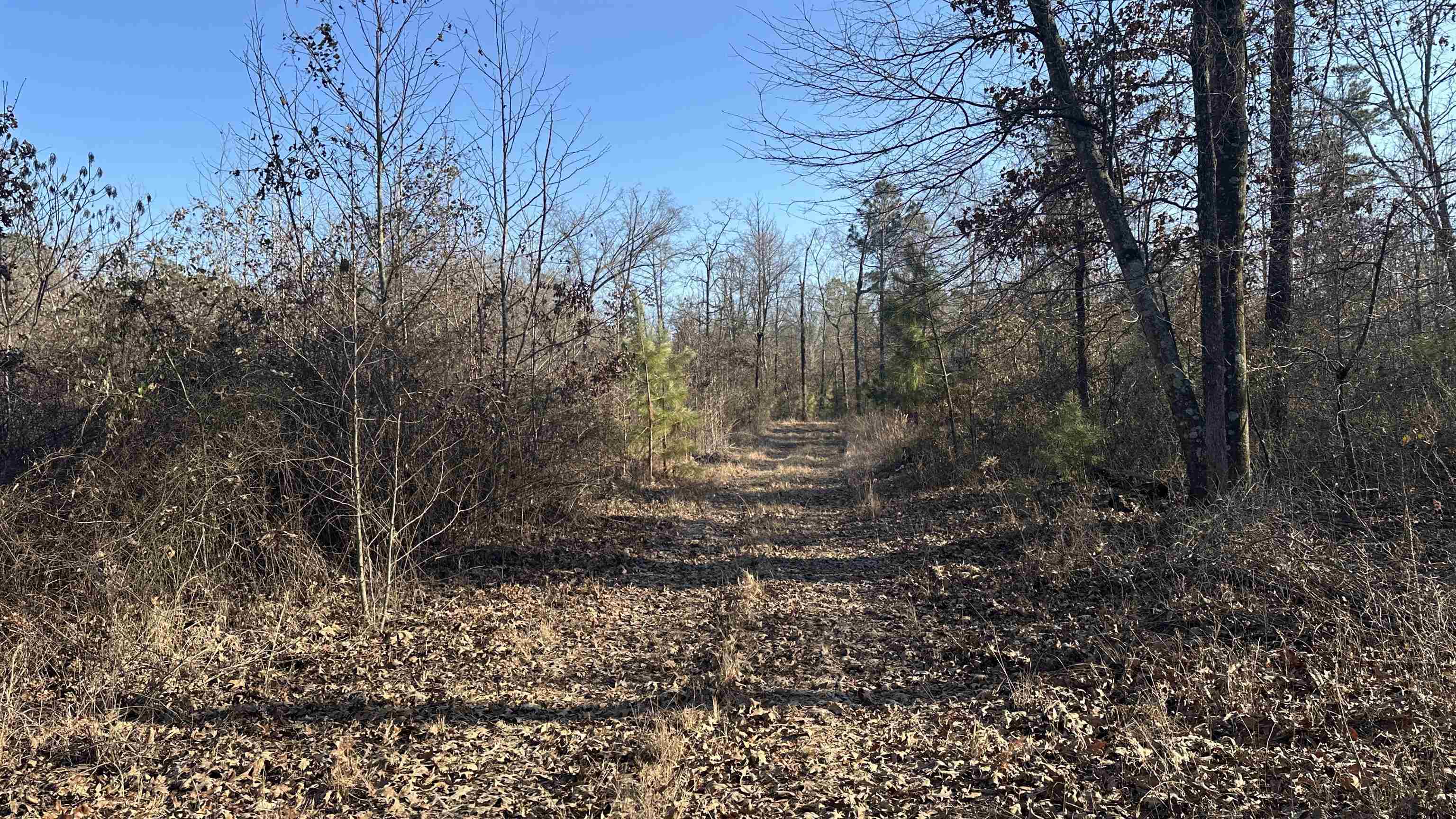 Metes & Bounds - Land