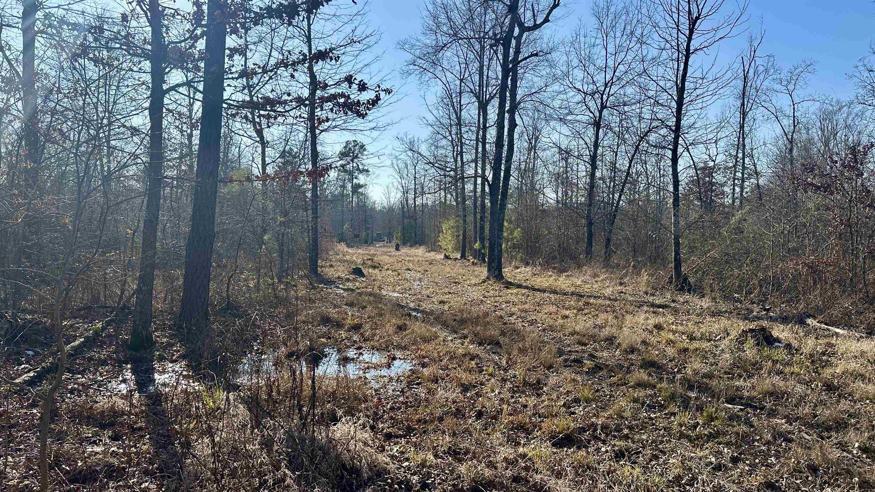 Metes & Bounds - Land