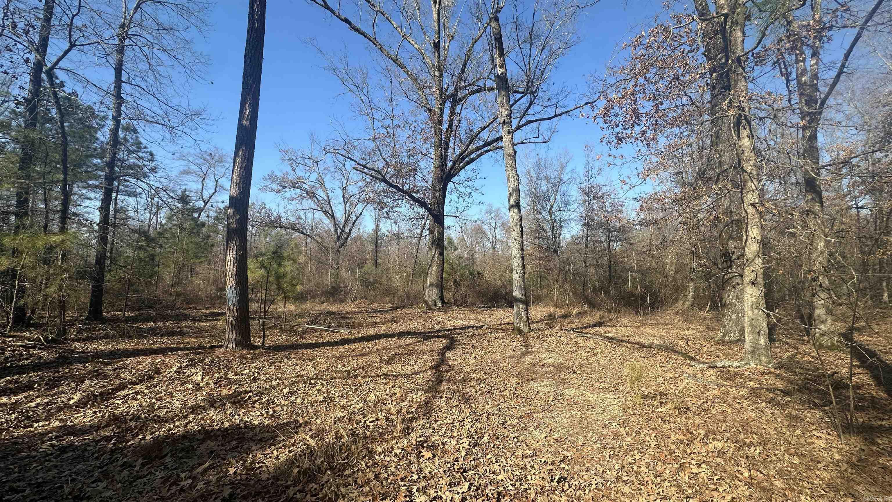 Metes & Bounds - Land