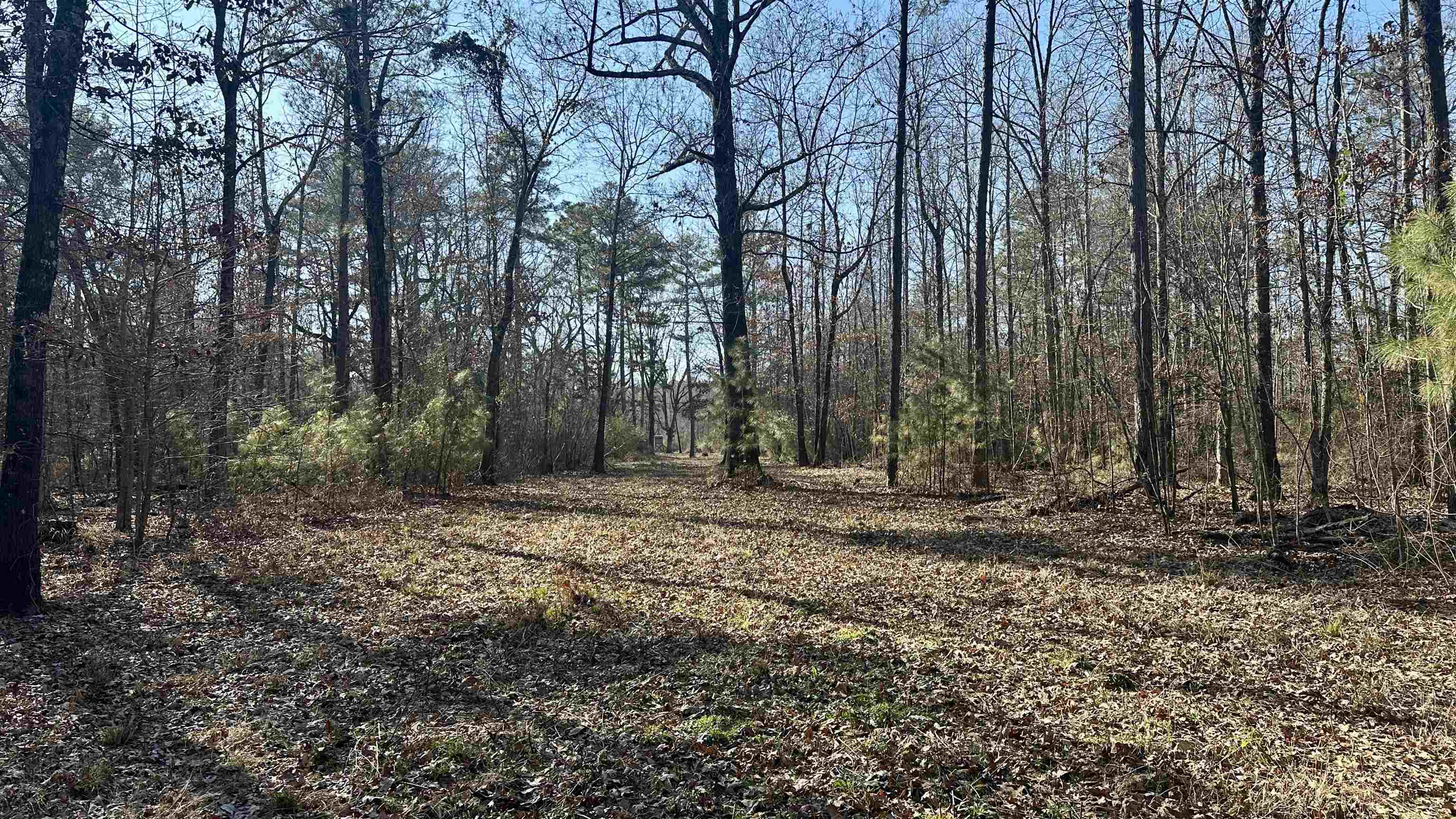 Metes & Bounds - Land