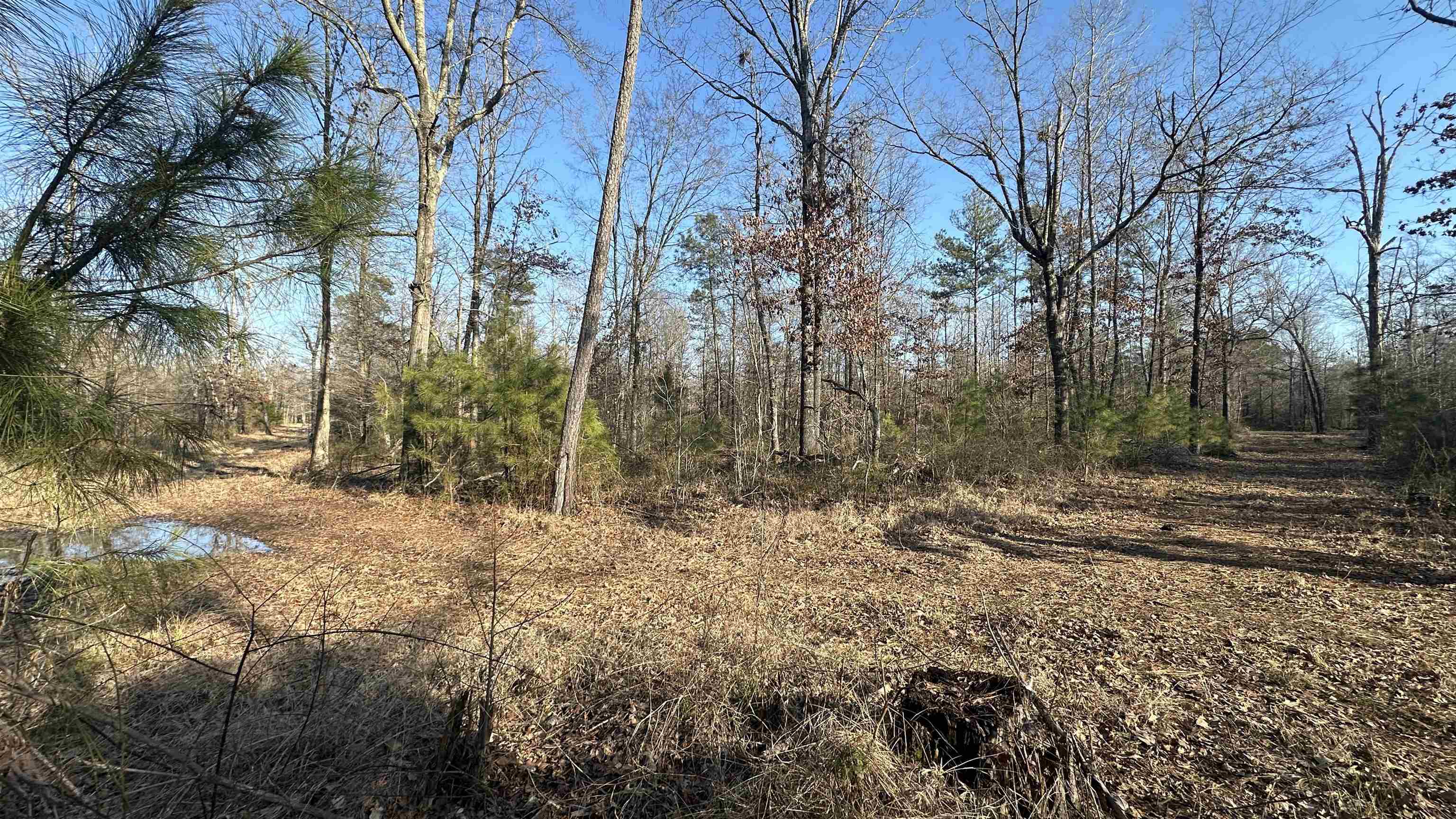 Metes & Bounds - Land