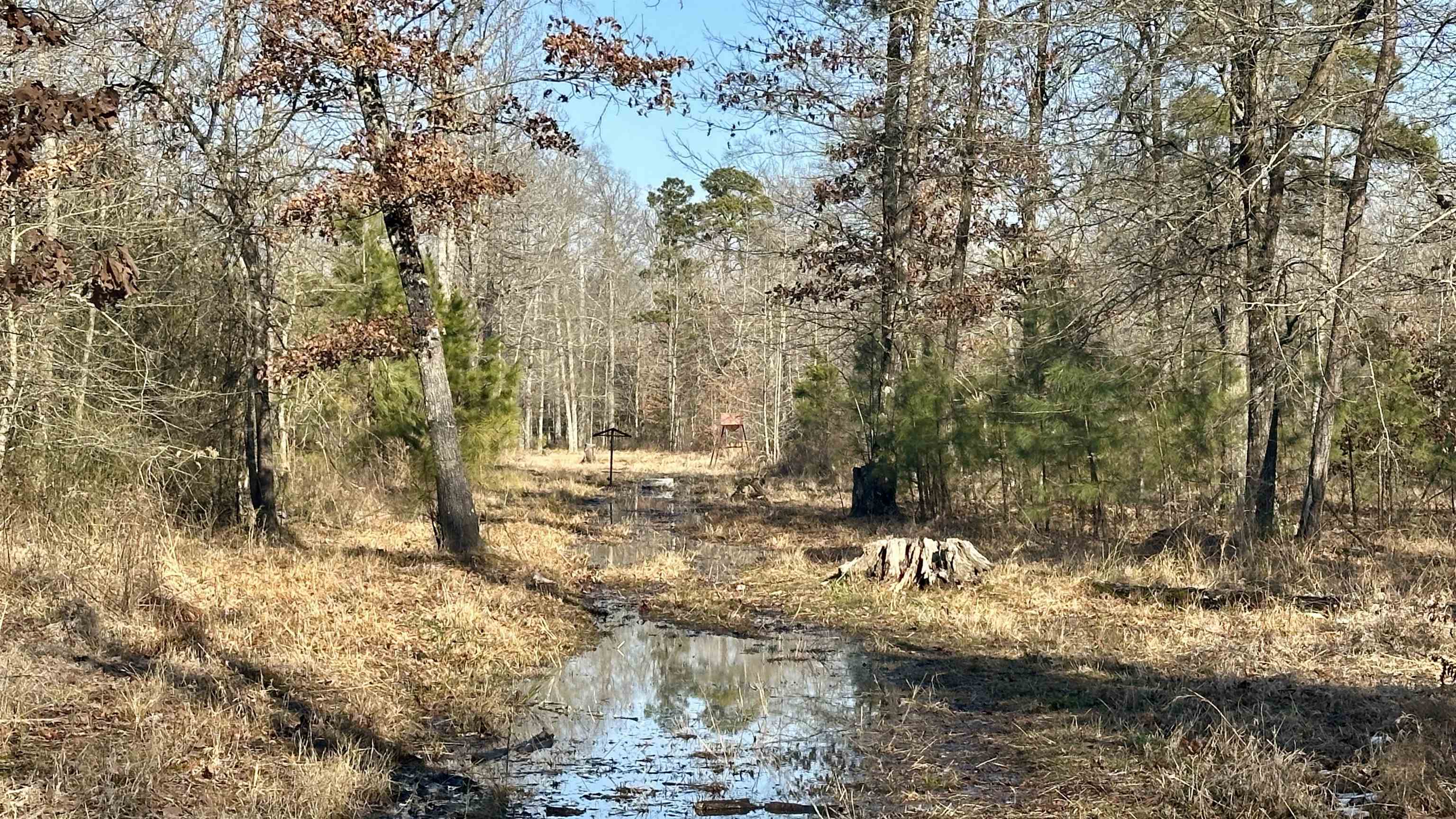 Metes & Bounds - Land