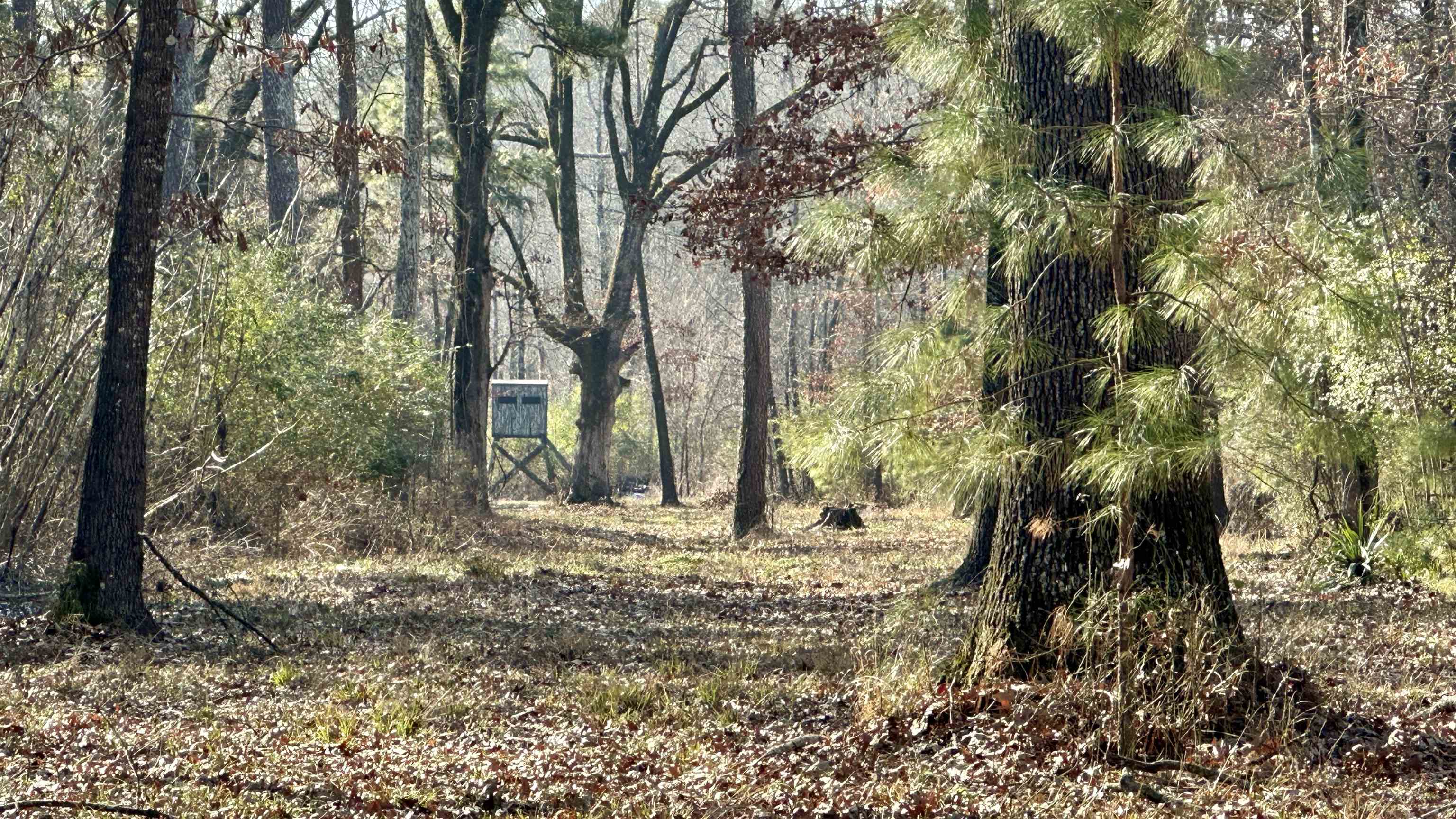 Metes & Bounds - Land