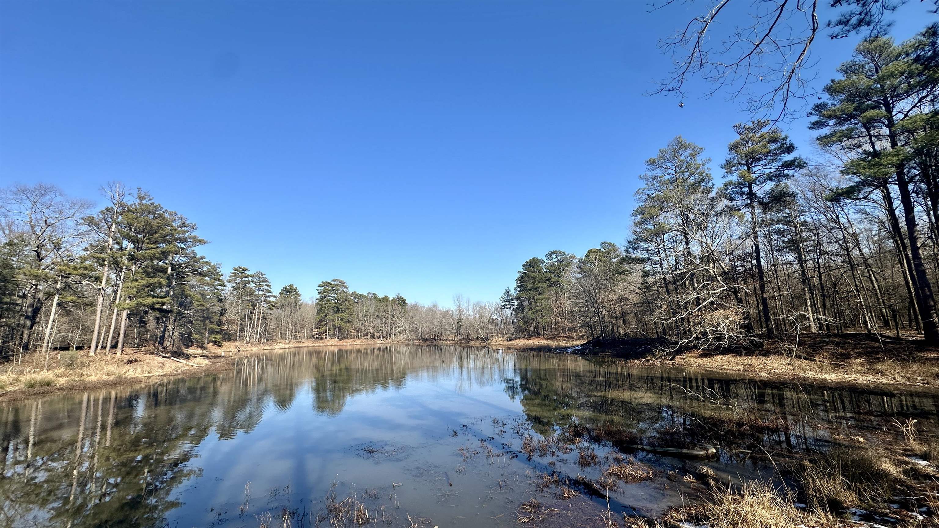126 acres +/- for sale inside the city limits of Pine Bluff, AR on the east side of town. This tract of timber is located between S. Main street and I-530 with highway frontage on E. 38th Avenue. There's a sewer main on the west side of the property inviting the opportunity for either further development, or for someone looking for larger acreage to build on. There's a ton of deer sign as well as two small lakes in the heart of the property. Additional acreage across the highway with I-530 frontage can be purchased. Give me a call to take a look!