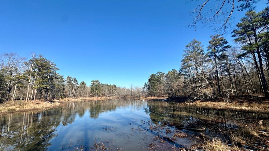 126 acres +/- for sale inside the city limits of Pine Bluff, AR on the east side of town. This tract of timber is located between S. Main street and I-530 with highway frontage on E. 38th Avenue. There's a sewer main on the west side of the property inviting the opportunity for either further development, or for someone looking for larger acreage to build on. There's a ton of deer sign as well as two small lakes in the heart of the property. Additional acreage across the highway with I-530 frontage can be purchased. Give me a call to take a look!