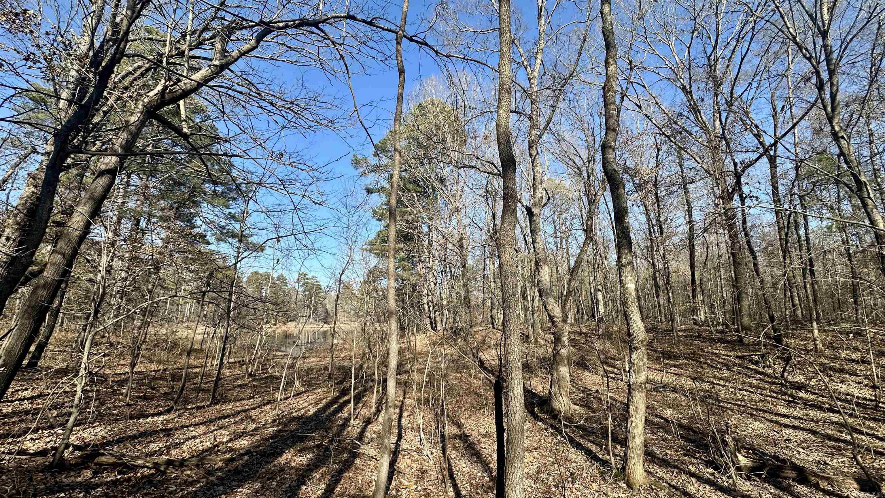 Metes & Bounds - Land