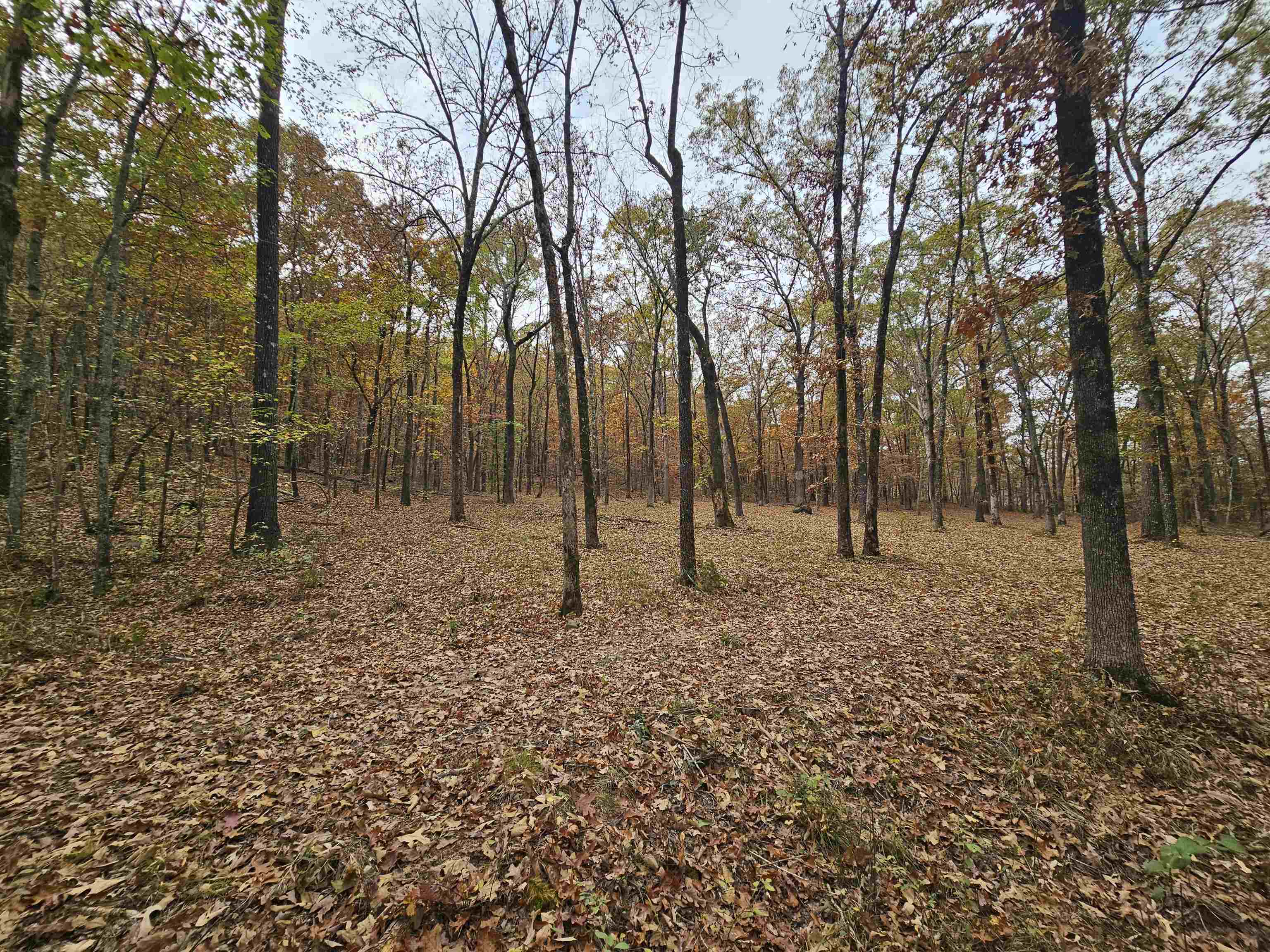 Metes & Bounds - Land