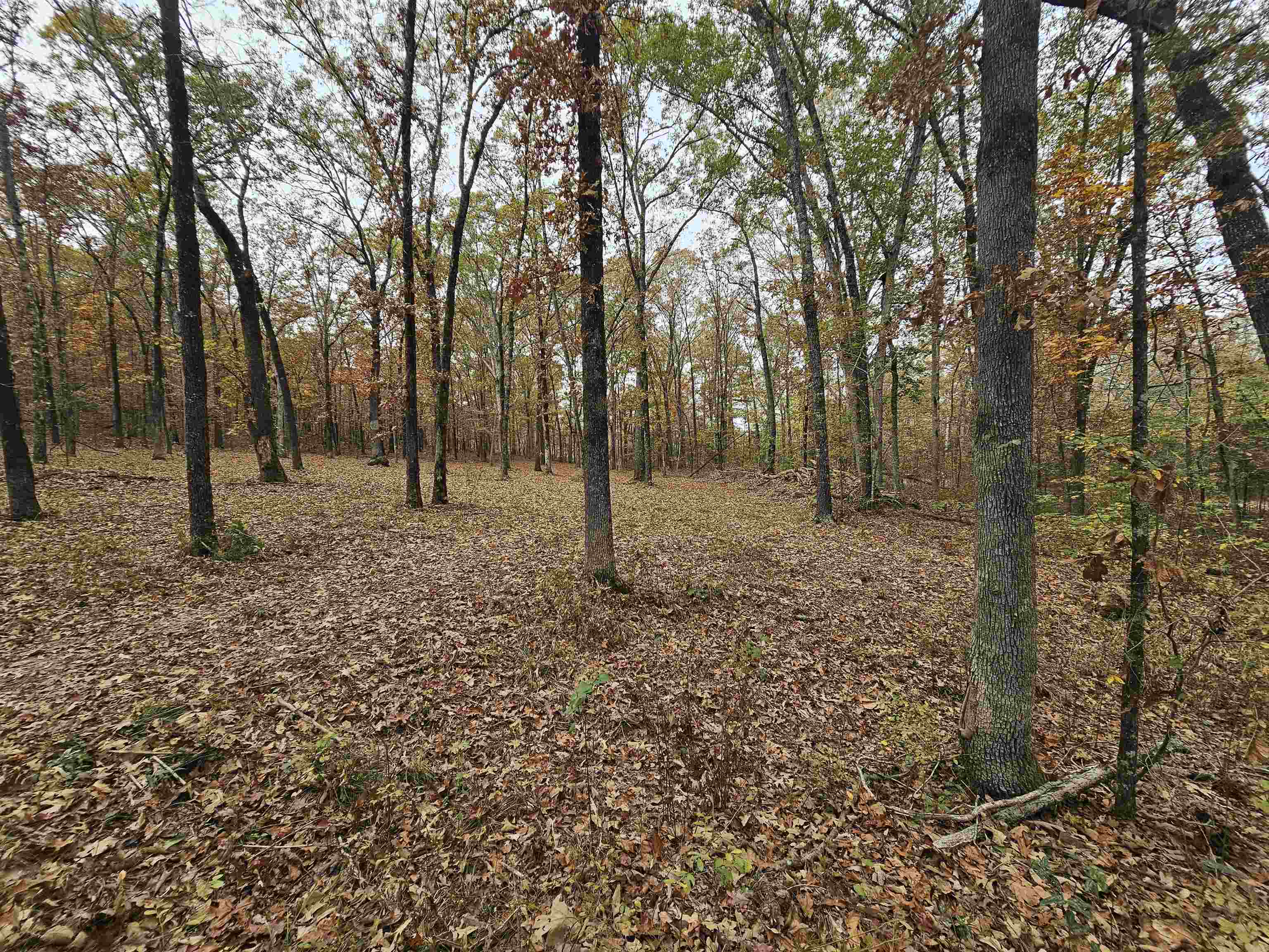 Metes & Bounds - Land