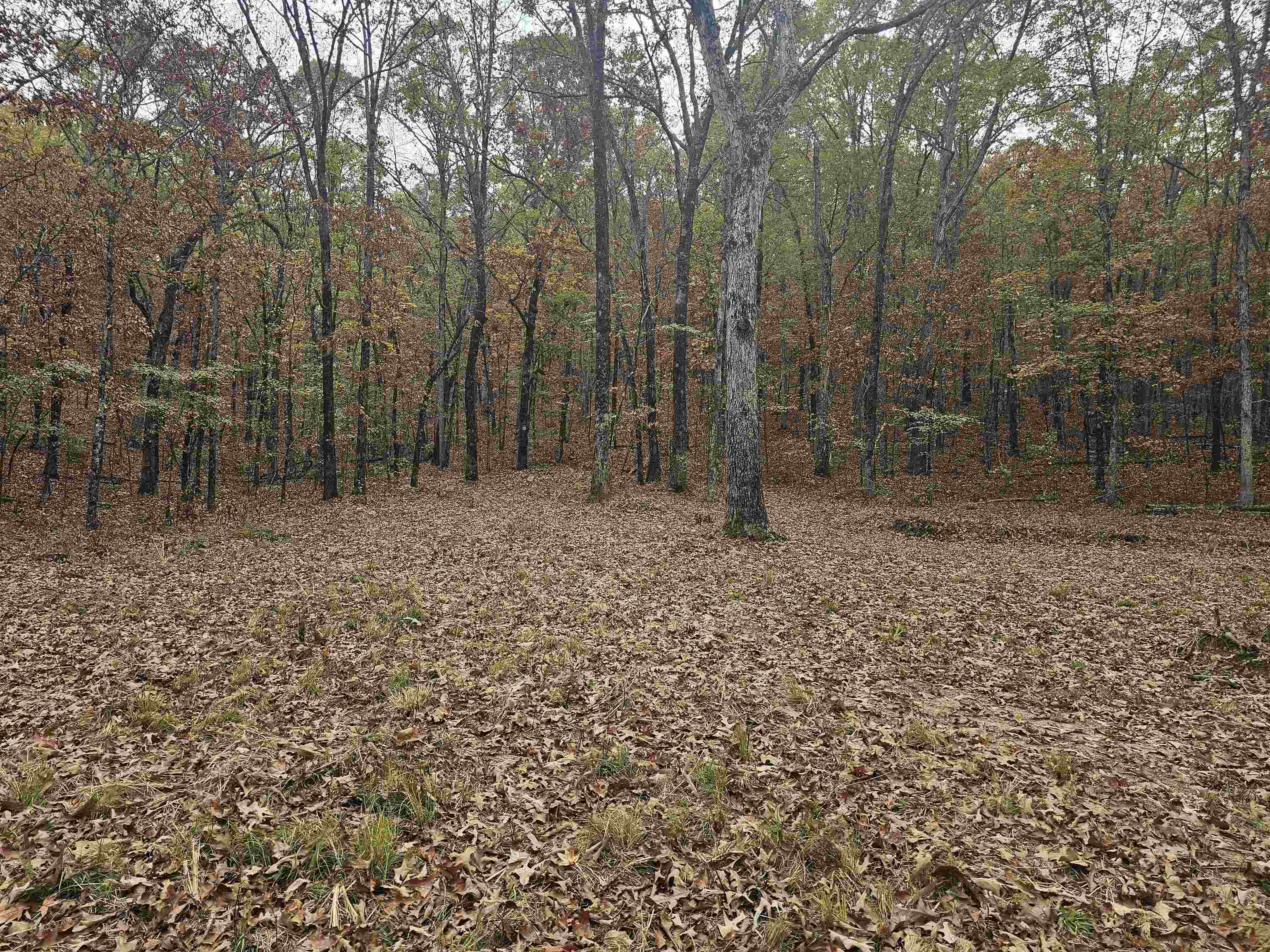 Metes & Bounds - Land