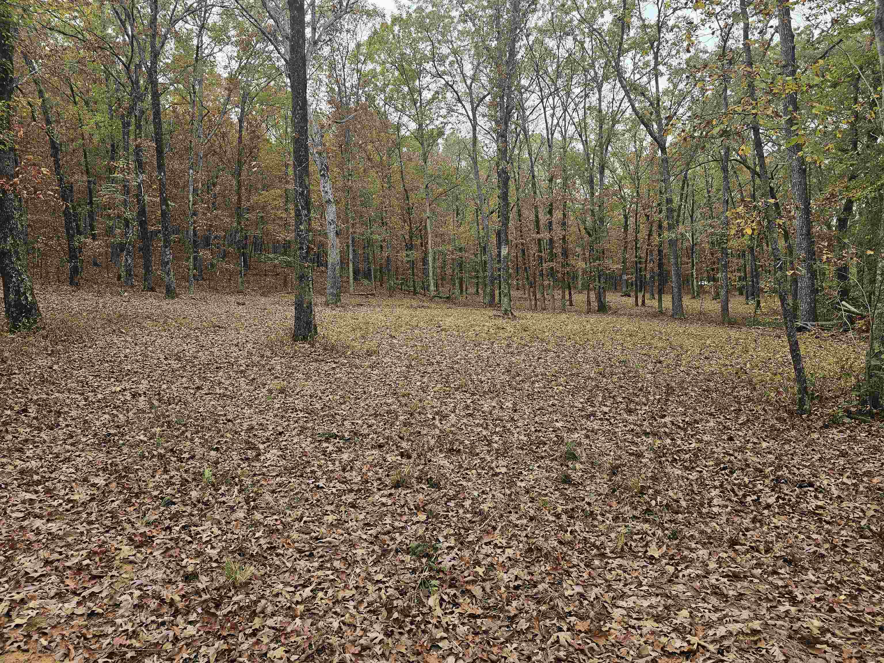 Metes & Bounds - Land