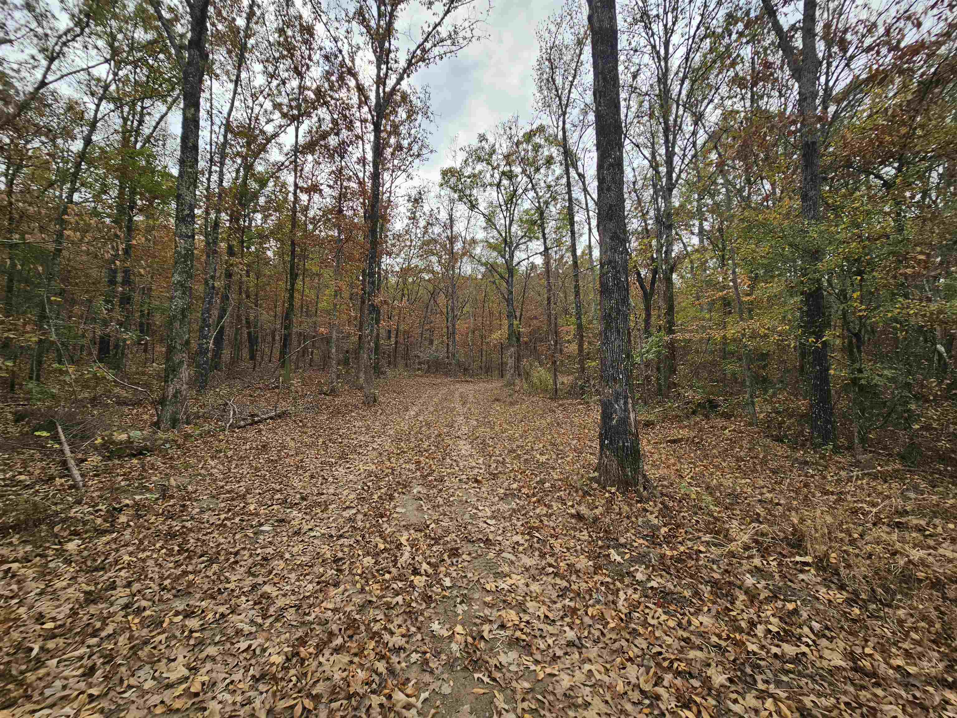 Metes & Bounds - Land