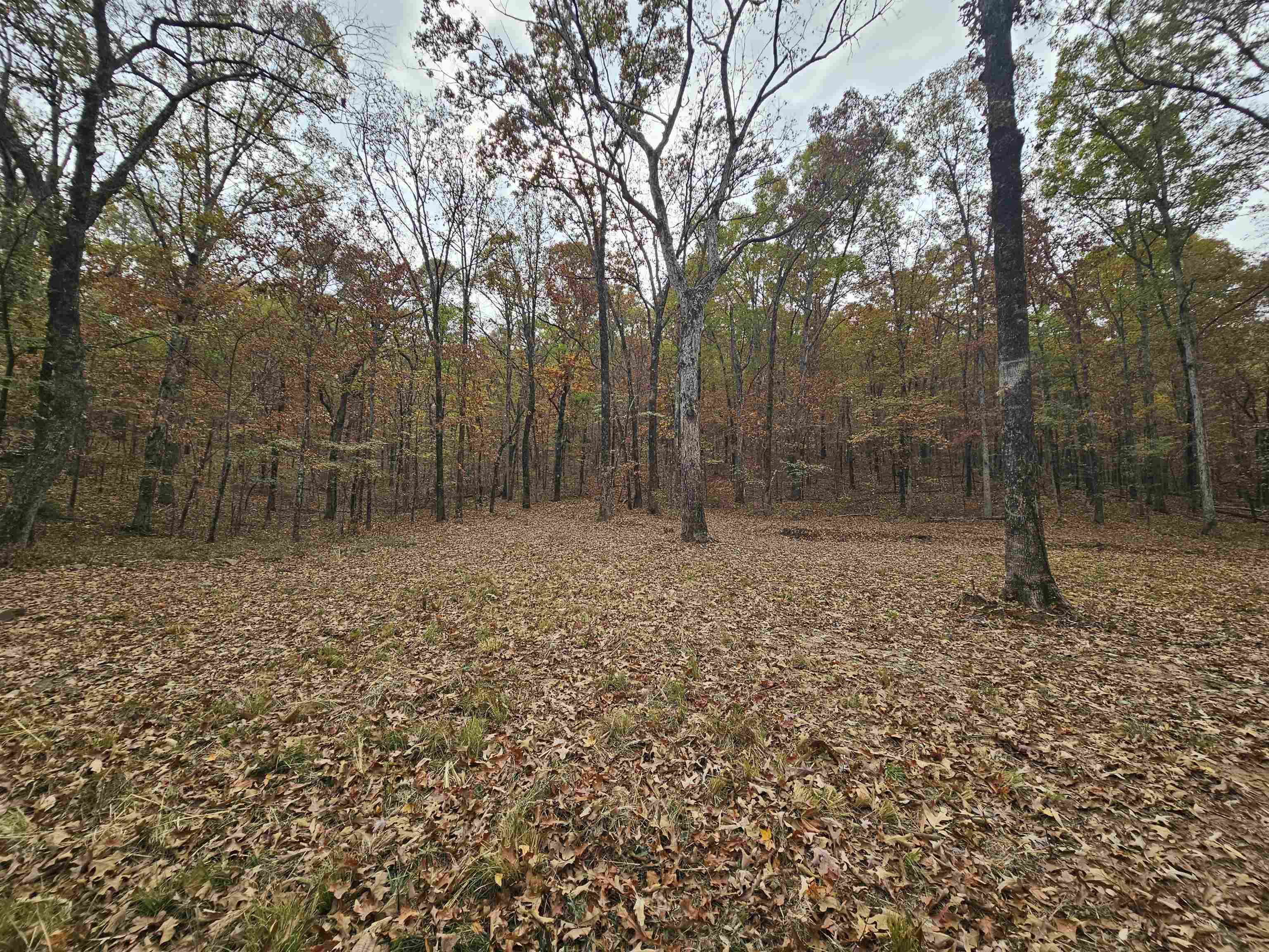 Metes & Bounds - Land