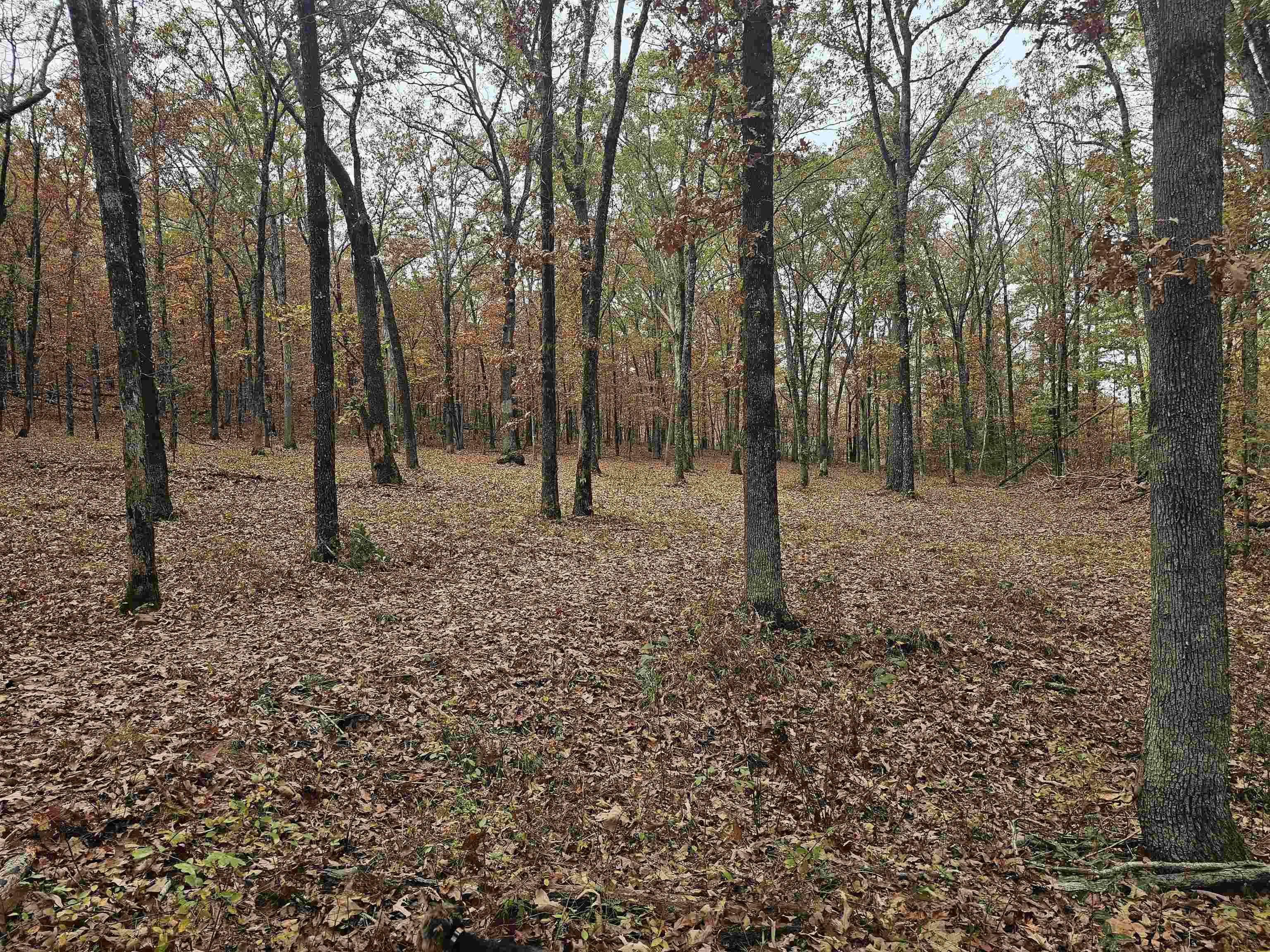 Metes & Bounds - Land