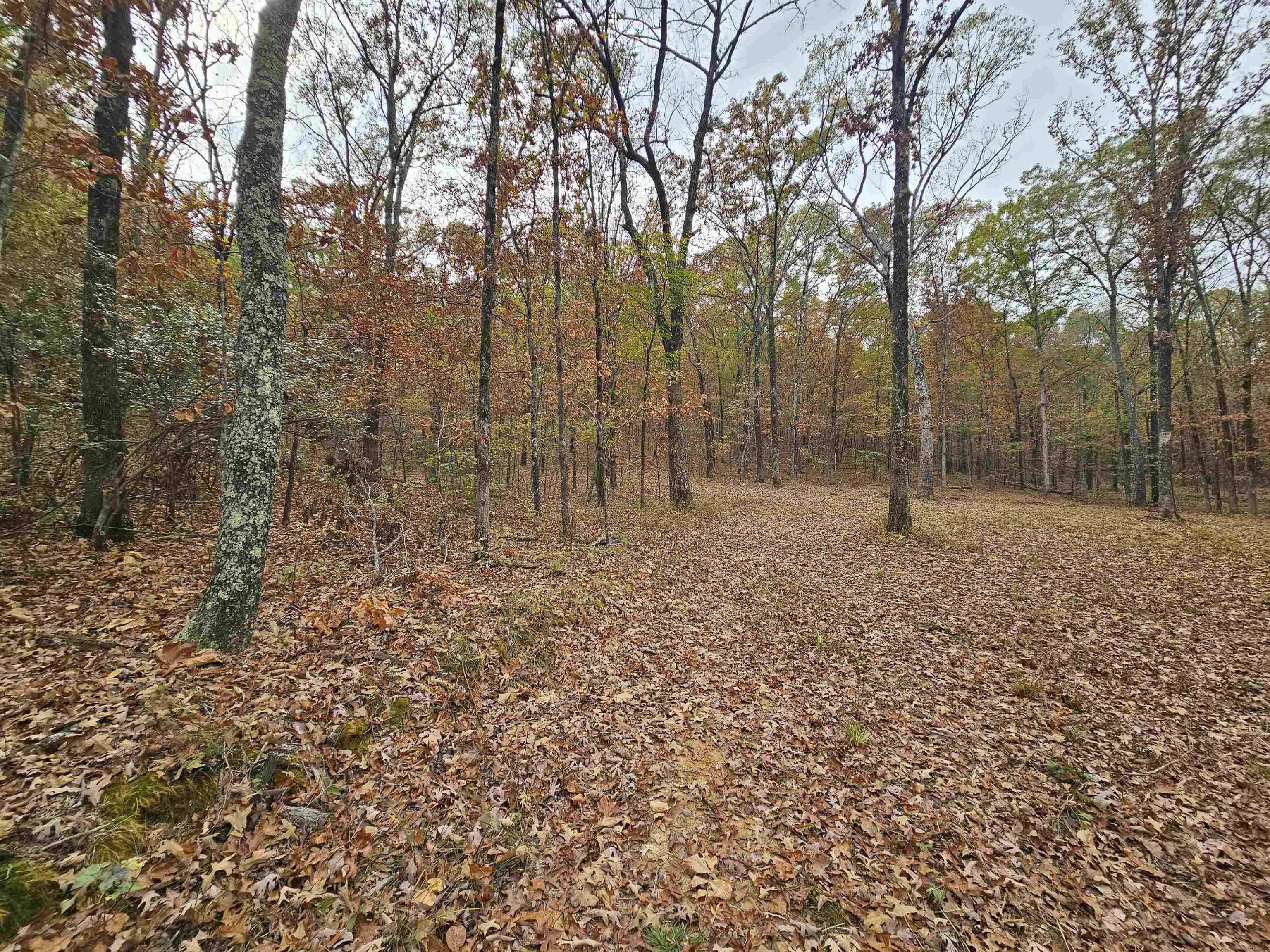 Metes & Bounds - Land