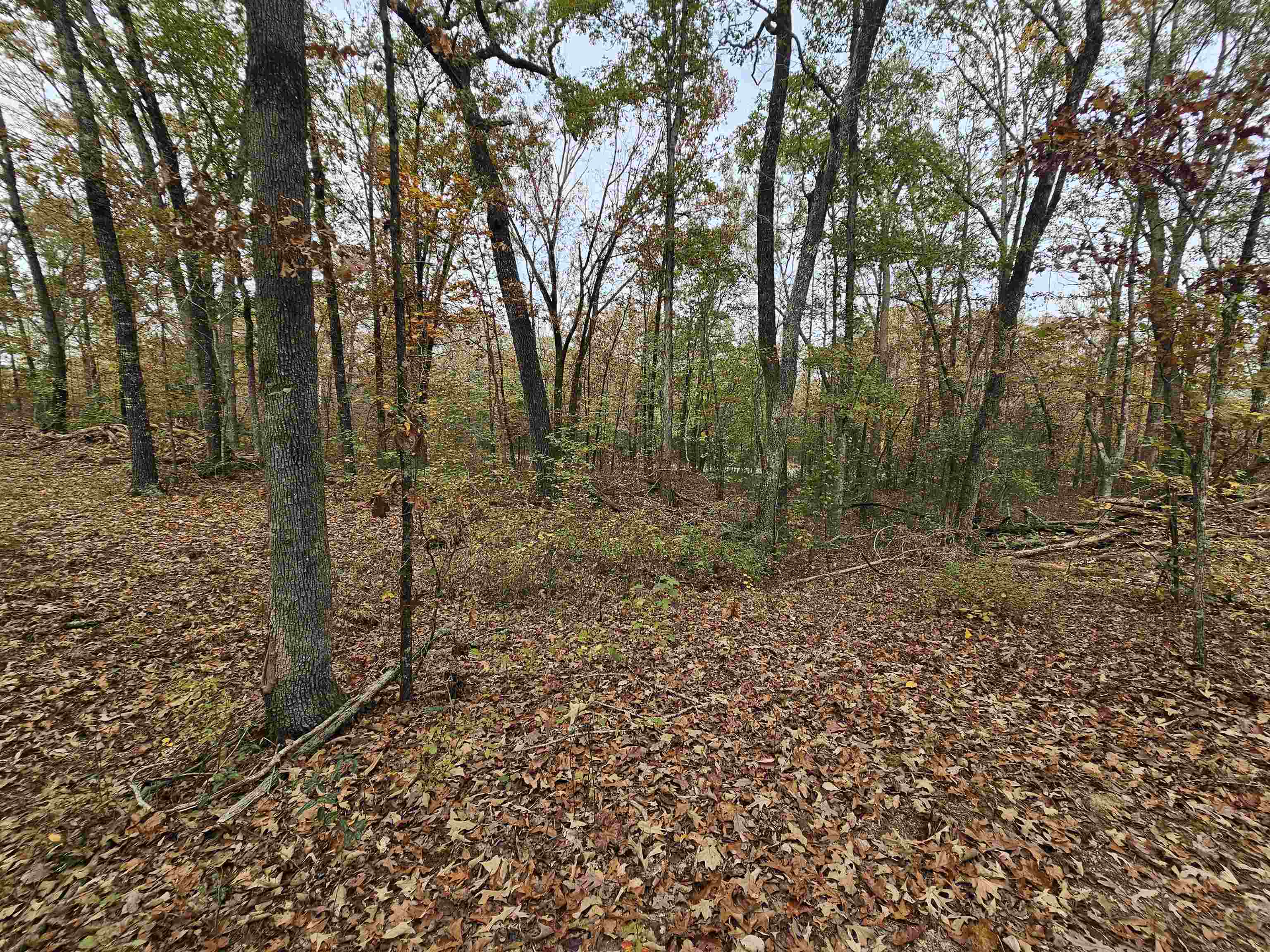 Metes & Bounds - Land