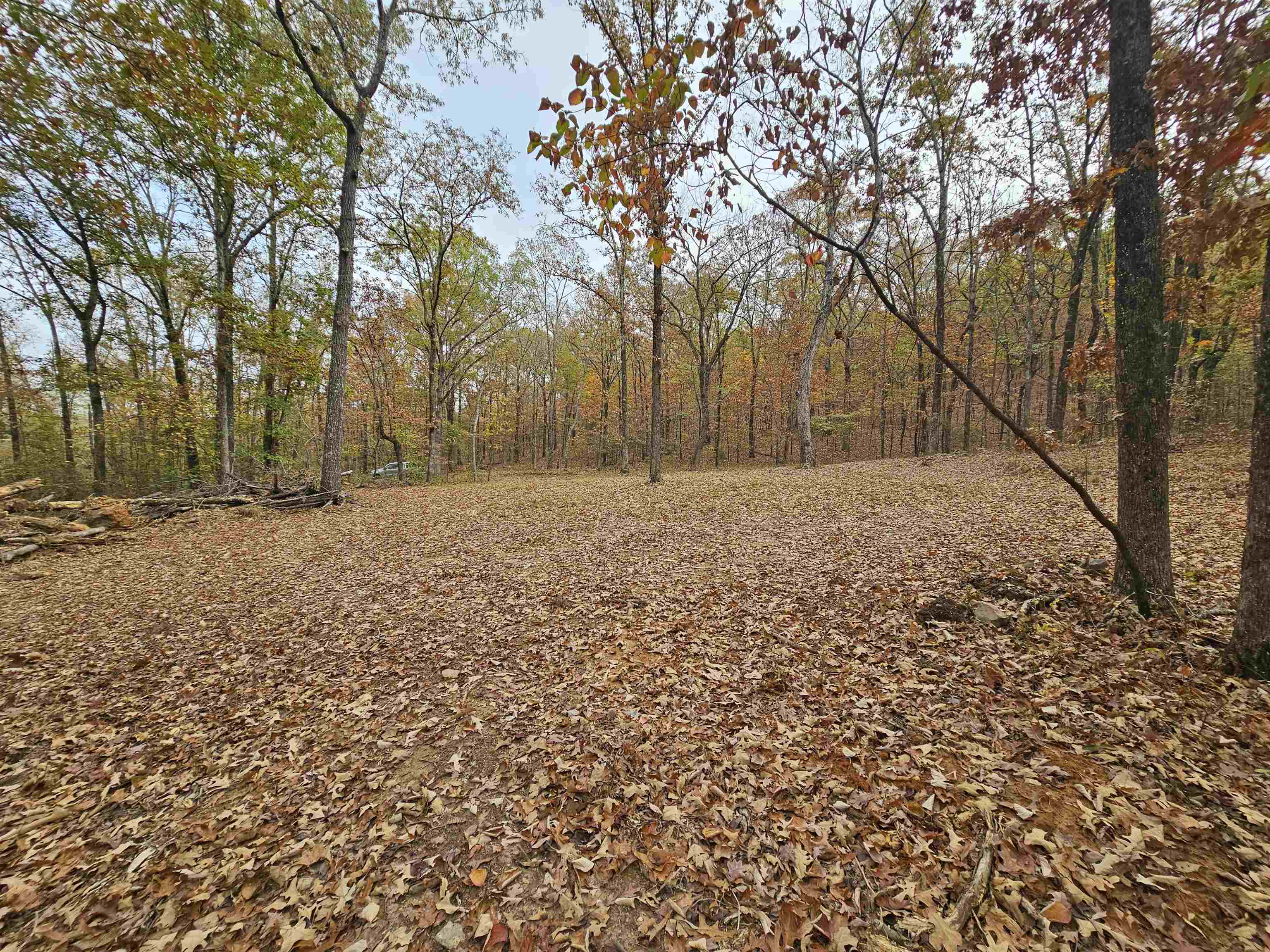 Metes & Bounds - Land