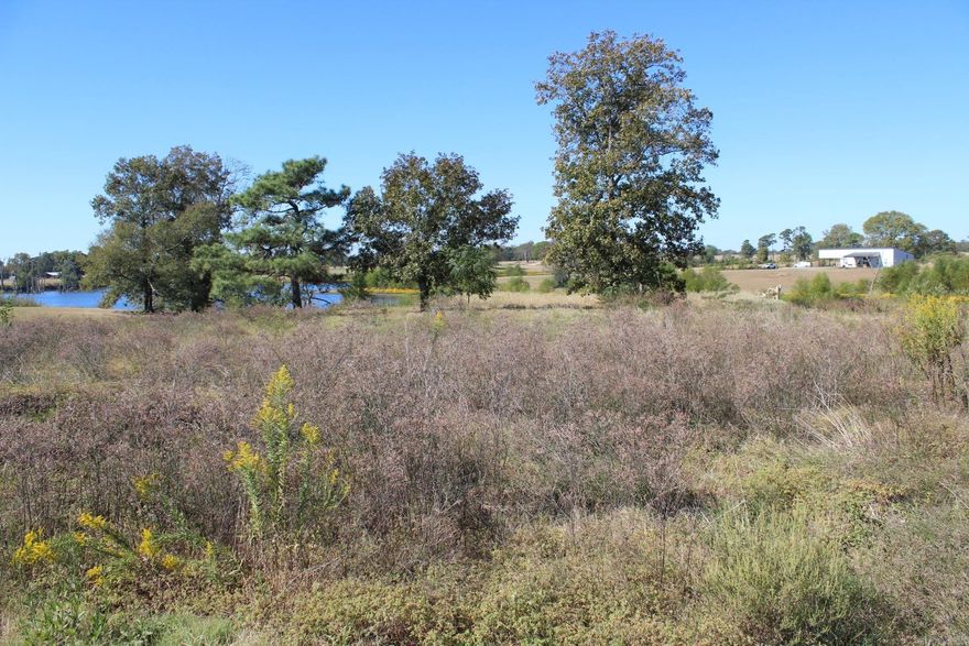 LOT AVAILABLE IN CORNBRIDGE ESTATES WITH APPROX. 3.38 Acres. Beautiful building site with lake frontage.