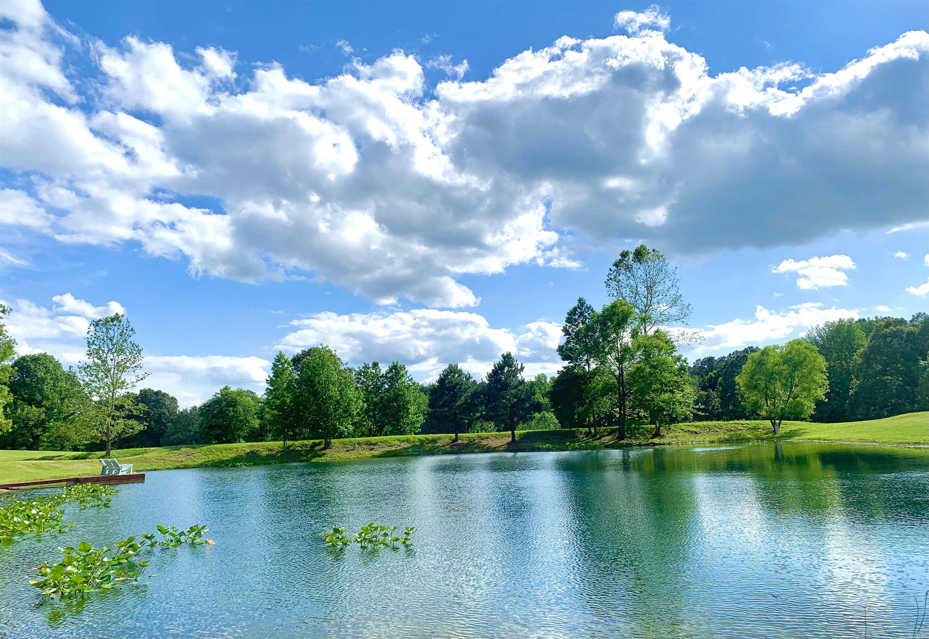 BELLA RIDGE - Residential