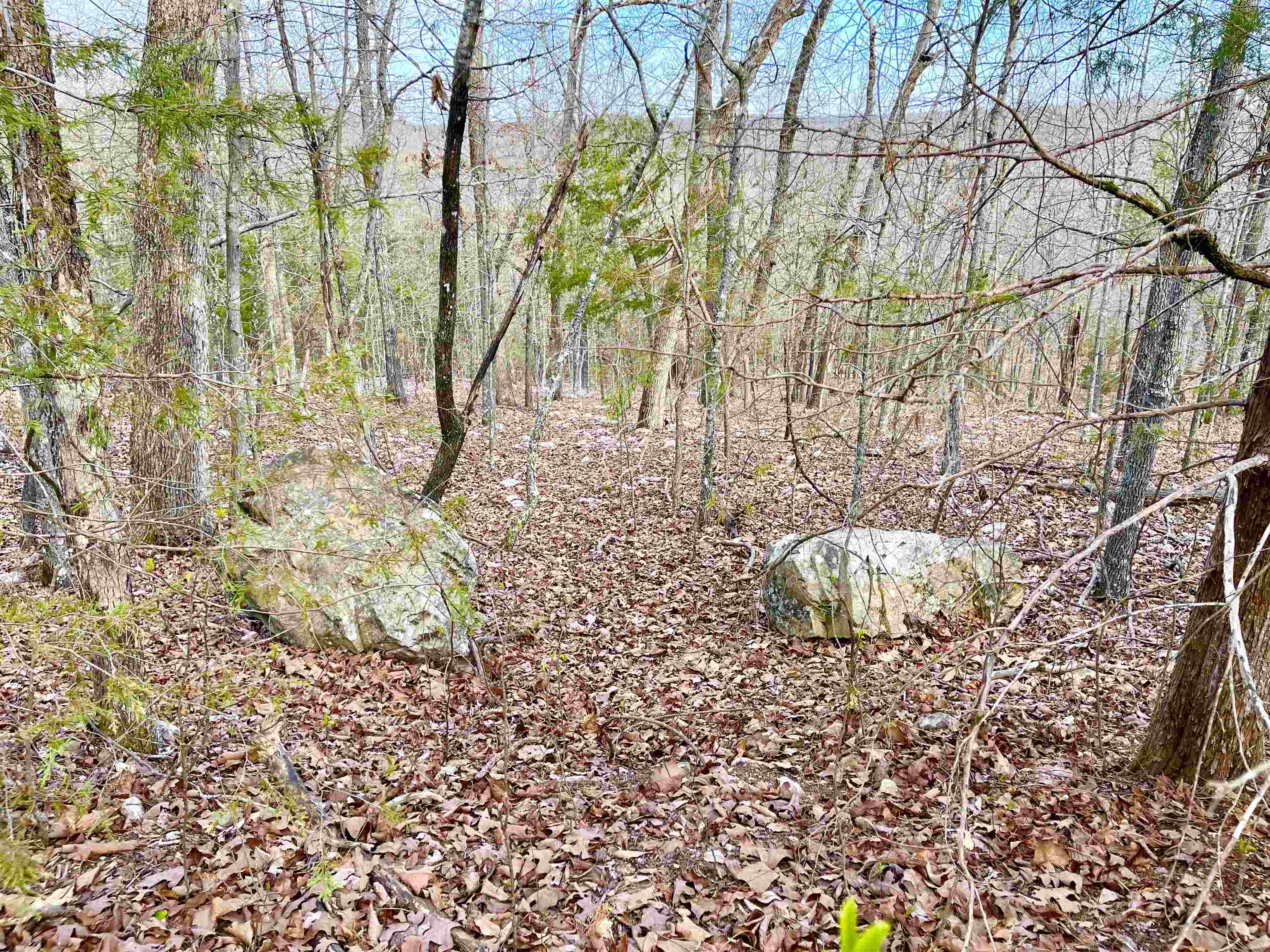 MOTIVATED SELLER! MAKE AN OFFER! Located up the hill from Lake Omaha in Cherokee Village AR. This .29 acre lot is large enough to build that new home with amazing views you have been dreaming of! This nice wooded lot is on a paved city street and sits high up on Coweta Drive. Great place to build your new home. Fish in the popular Spring River or any of the 7 beautiful lakes in the area and shop in the famous Old Hardy town. If your a golfer you will not be disappointed in our prestigious North and South golf courses in Cherokee Village. What else would you need if you moved here to retire?!