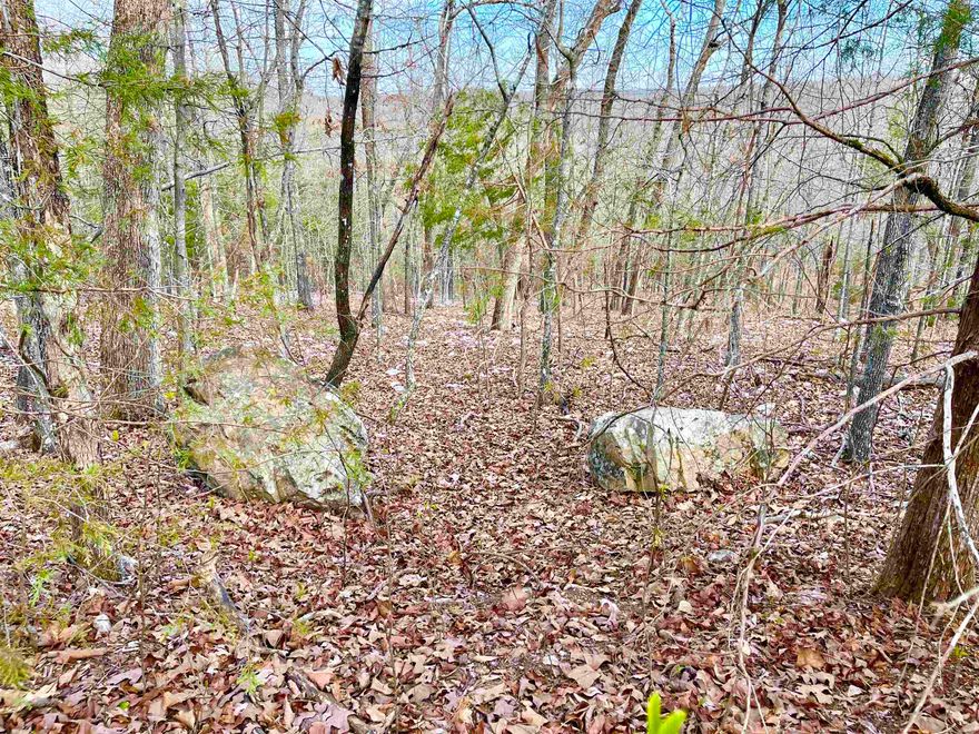 MOTIVATED SELLER! MAKE AN OFFER! Located up the hill from Lake Omaha in Cherokee Village AR. This .29 acre lot is large enough to build that new home with amazing views you have been dreaming of! This nice wooded lot is on a paved city street and sits high up on Coweta Drive.  Great place to build your new home. Fish in the popular Spring River or any of the 7 beautiful lakes in the area and shop in the famous Old Hardy town. If your a golfer you will not be disappointed in our prestigious North and South golf courses in Cherokee Village. What else would you need if you moved here to retire?!