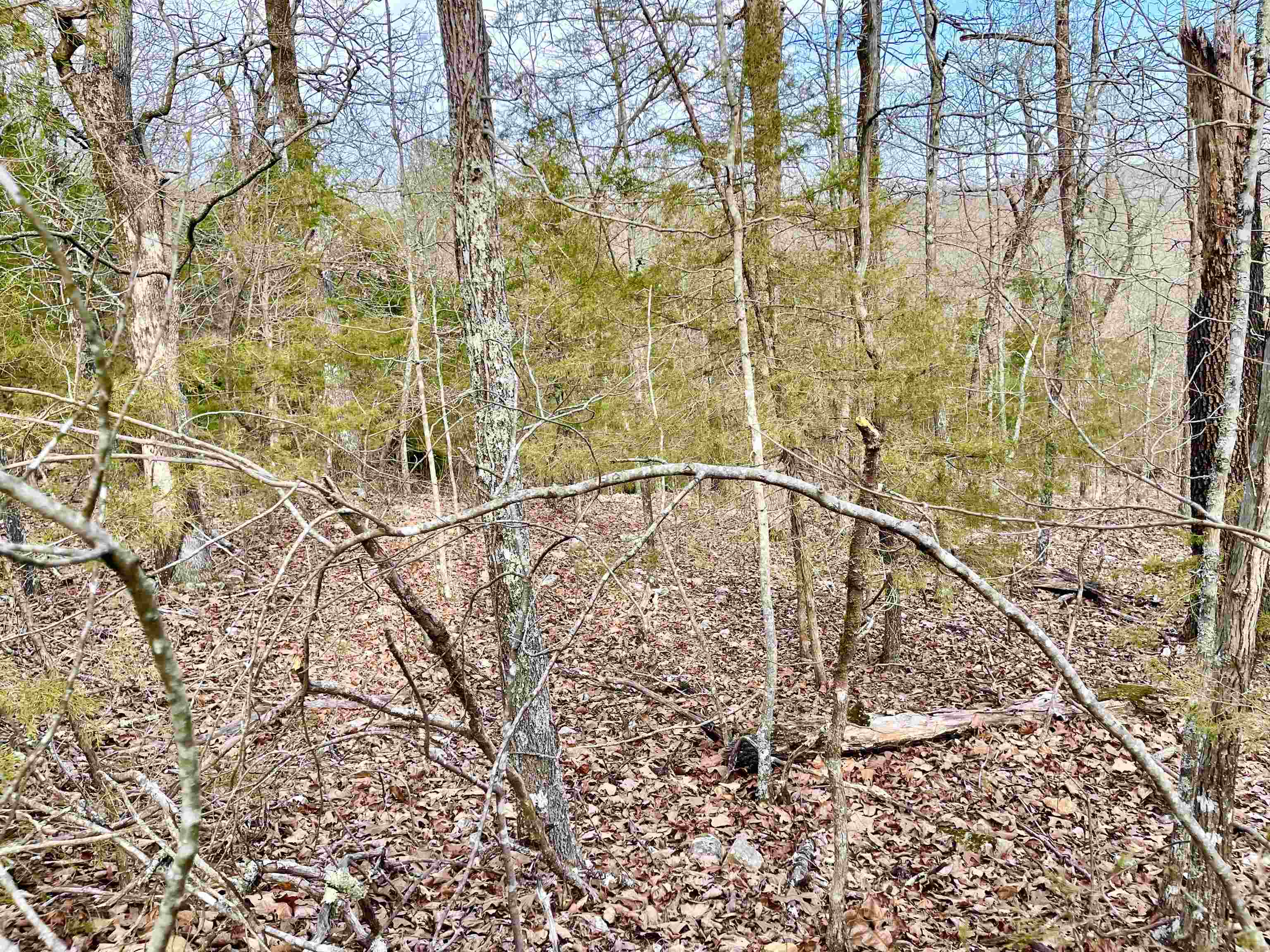 SALLISAW - Land
