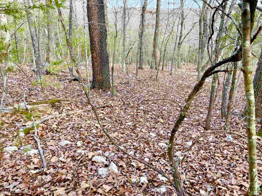MOTIVATED SELLER! MAKE AN OFFER! Located up the hill from Lake Omaha in Cherokee Village AR. This .29 acre lot is large enough to build that new home with amazing views you have been dreaming of! This nice wooded lot is on a paved city street and sits high up on Coweta Drive.  Great place to build your new home. Fish in the popular Spring River or any of the 7 beautiful lakes in the area and shop in the famous Old Hardy town. If your a golfer you will not be disappointed in our prestigious North and South golf courses in Cherokee Village. What else would you need if you moved here to retire?!