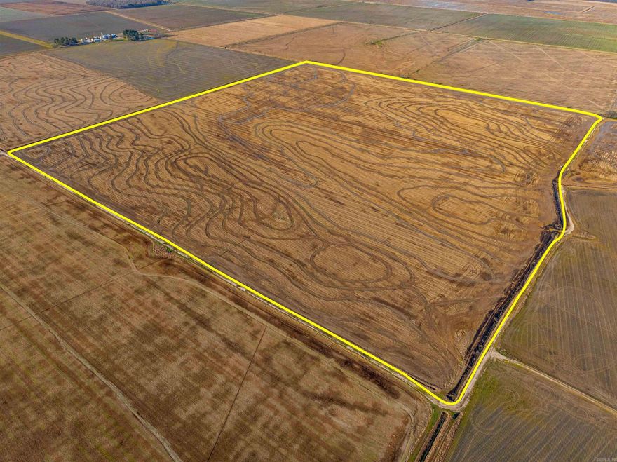 Excellent Row Crop Property, 179 +/- Acres, Grand Prairie, white dirt, 4 risers, capable of growing any crop, irrigation well, the road entirely around it makes for easy access. No trees on the property make it easy to spray and fertilize fields.  For the hunters, this property is 3 miles north of Coca-Cola Woods, north of Fair Oaks, 1 mile from Bayou Deview, and directly in the middle of the Duck and Goose Flyway!  It is an excellent location if you live in the city and need a place to hunt; it is just 60 miles from Memphis, easy to get to.  For the hunter who needs a little income, this farm currently has a shared split with the farmer, and the farm is scheduled to have 1/2 rice and 1/2 beans for the 2024 season.  With all this, wanting a row crop farm with hunting potential would be excellent!