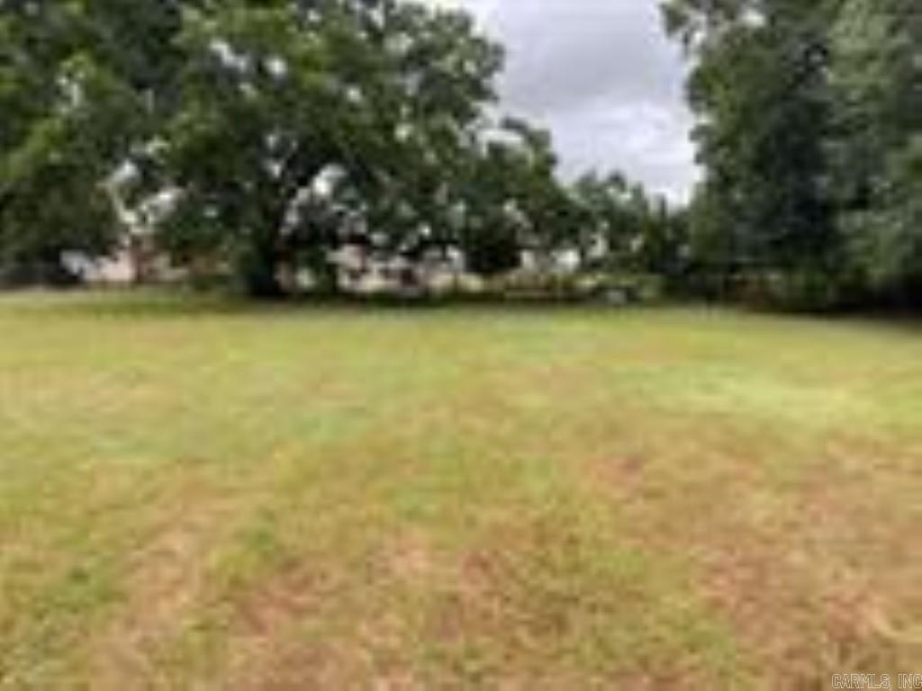 Vacant land that can be either 2 or 3 additional lots