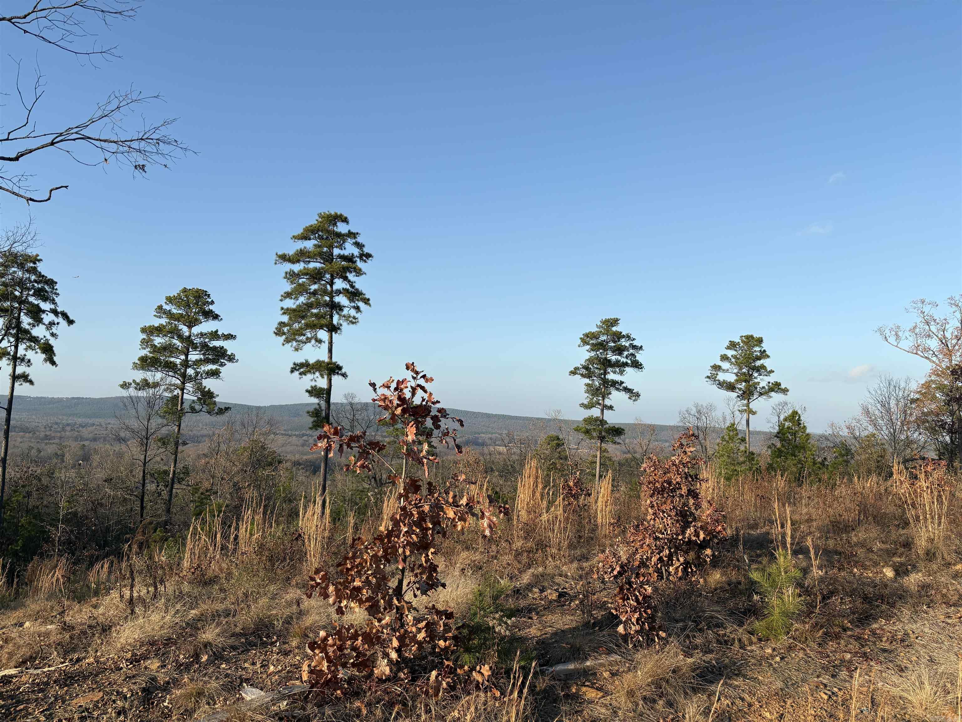 Waterview Estate - Land