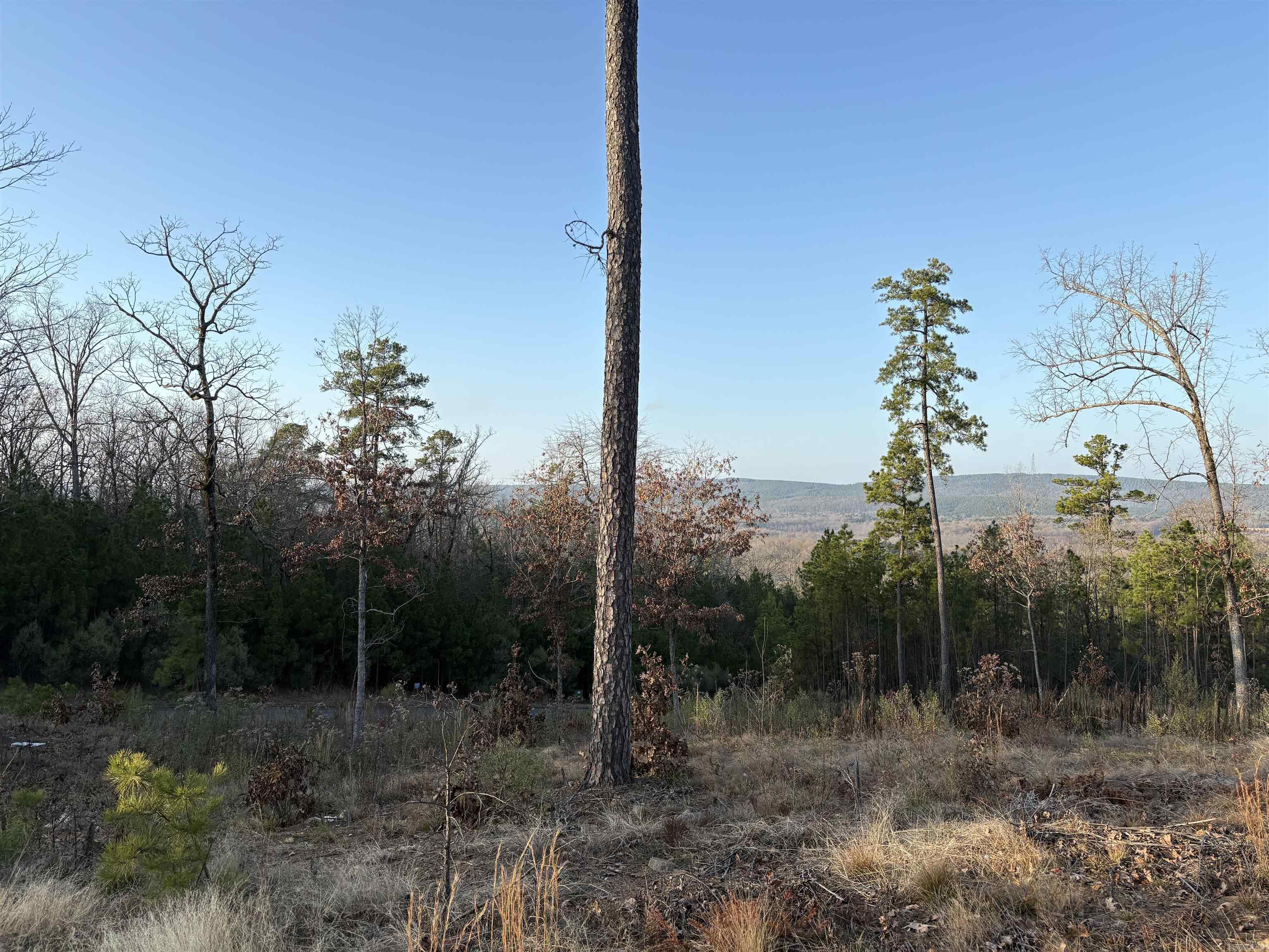 Waterview Estate - Land