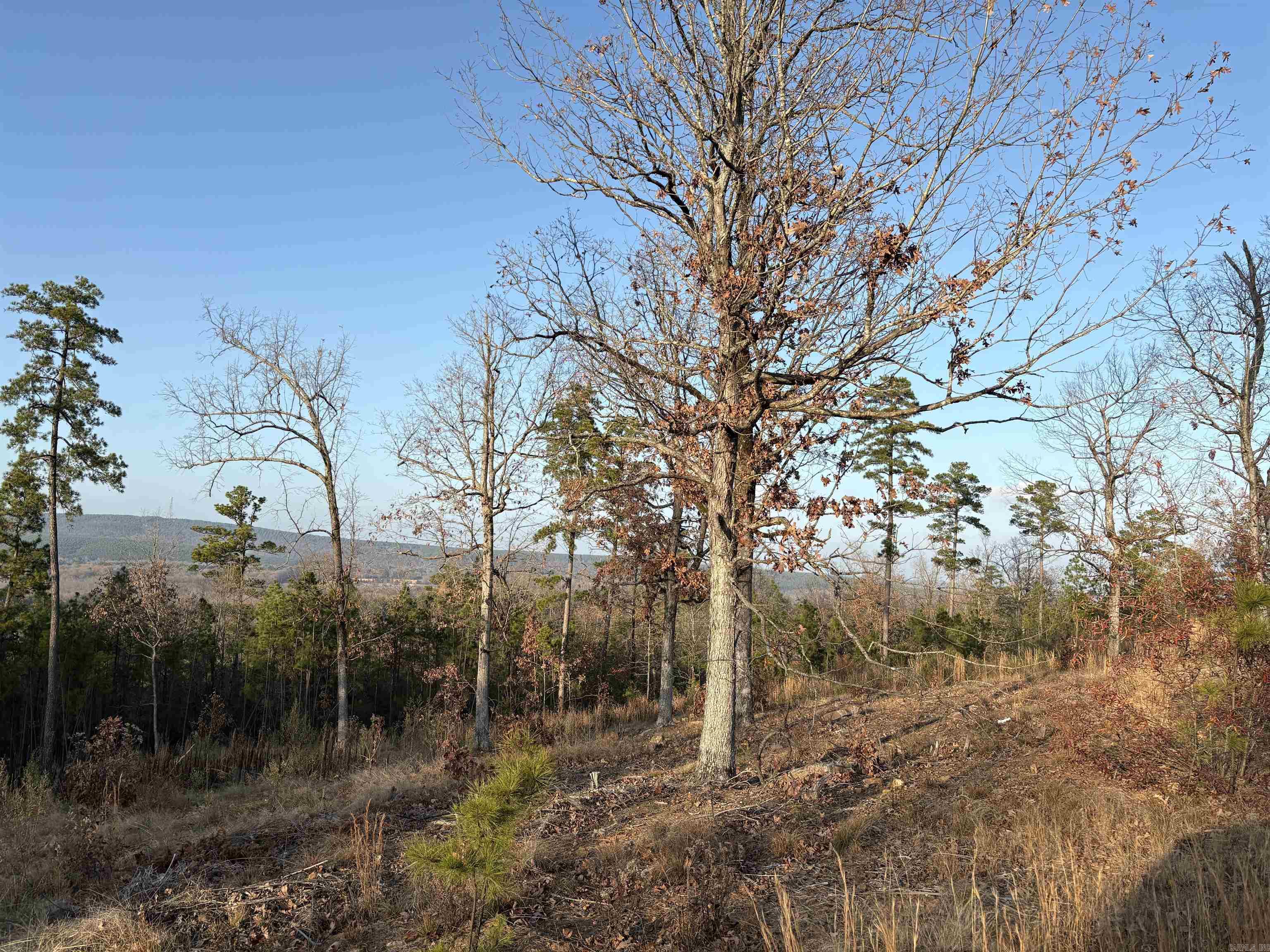Waterview Estate - Land